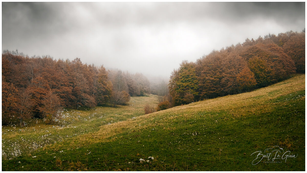 autumn colors