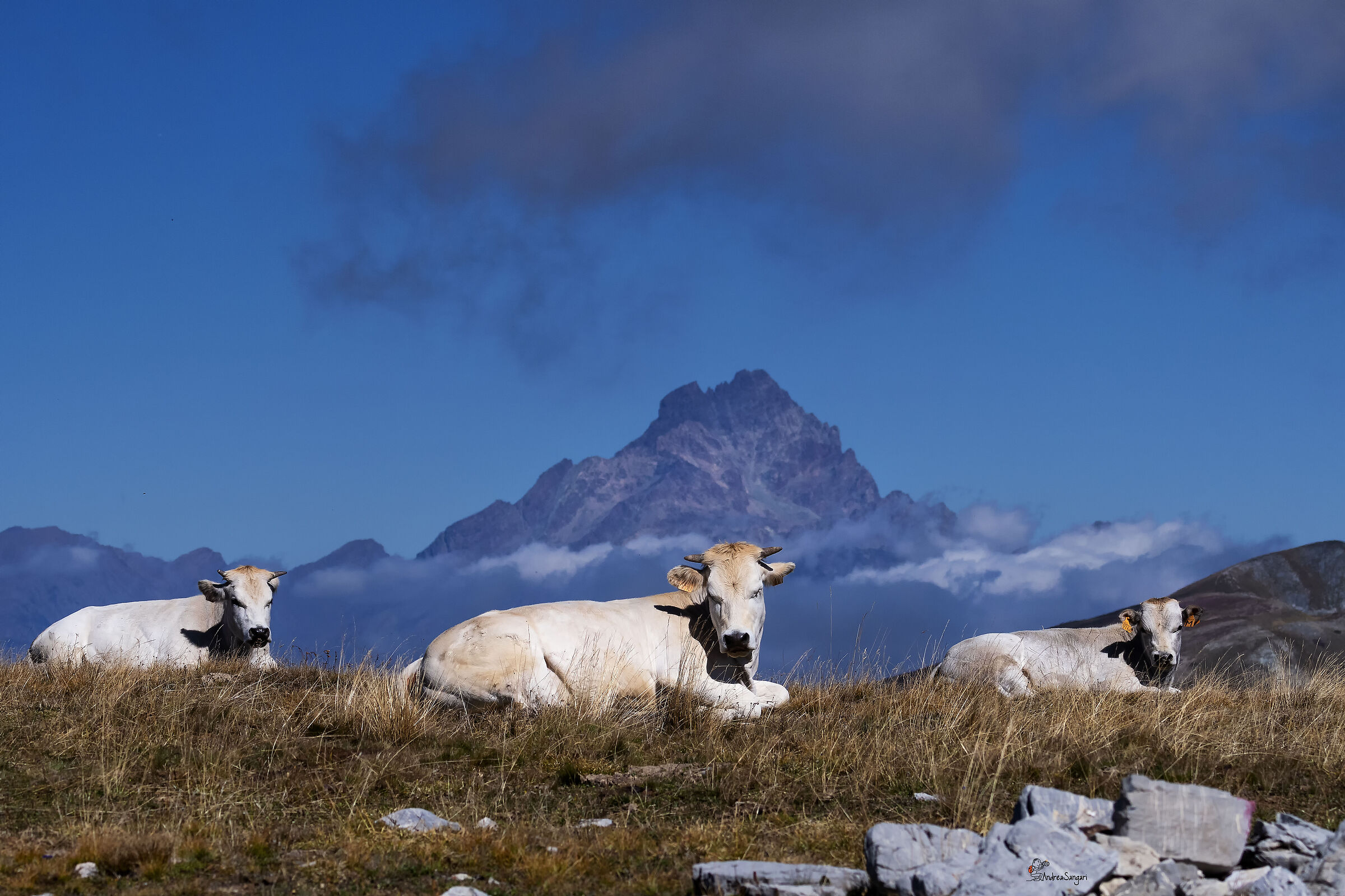 Le tre Marie(sullo sfondo del Monviso)