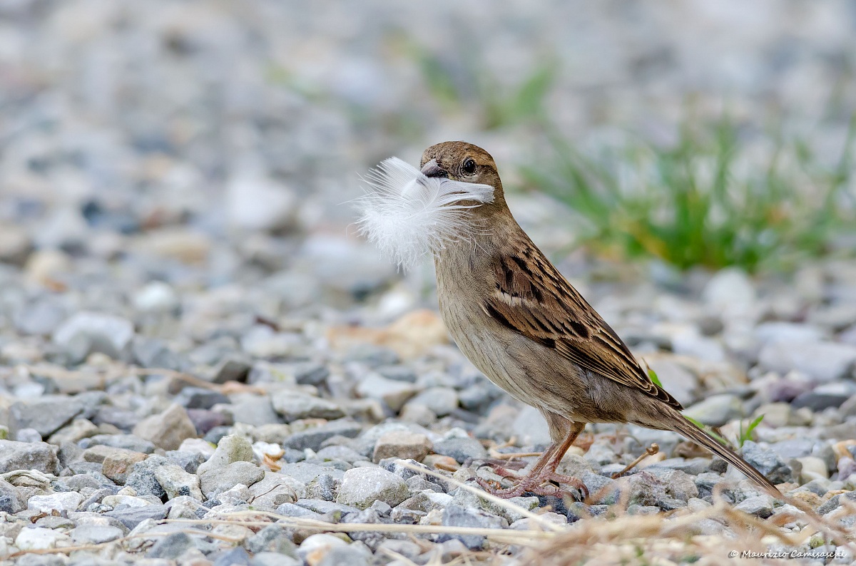 Would come in handy!