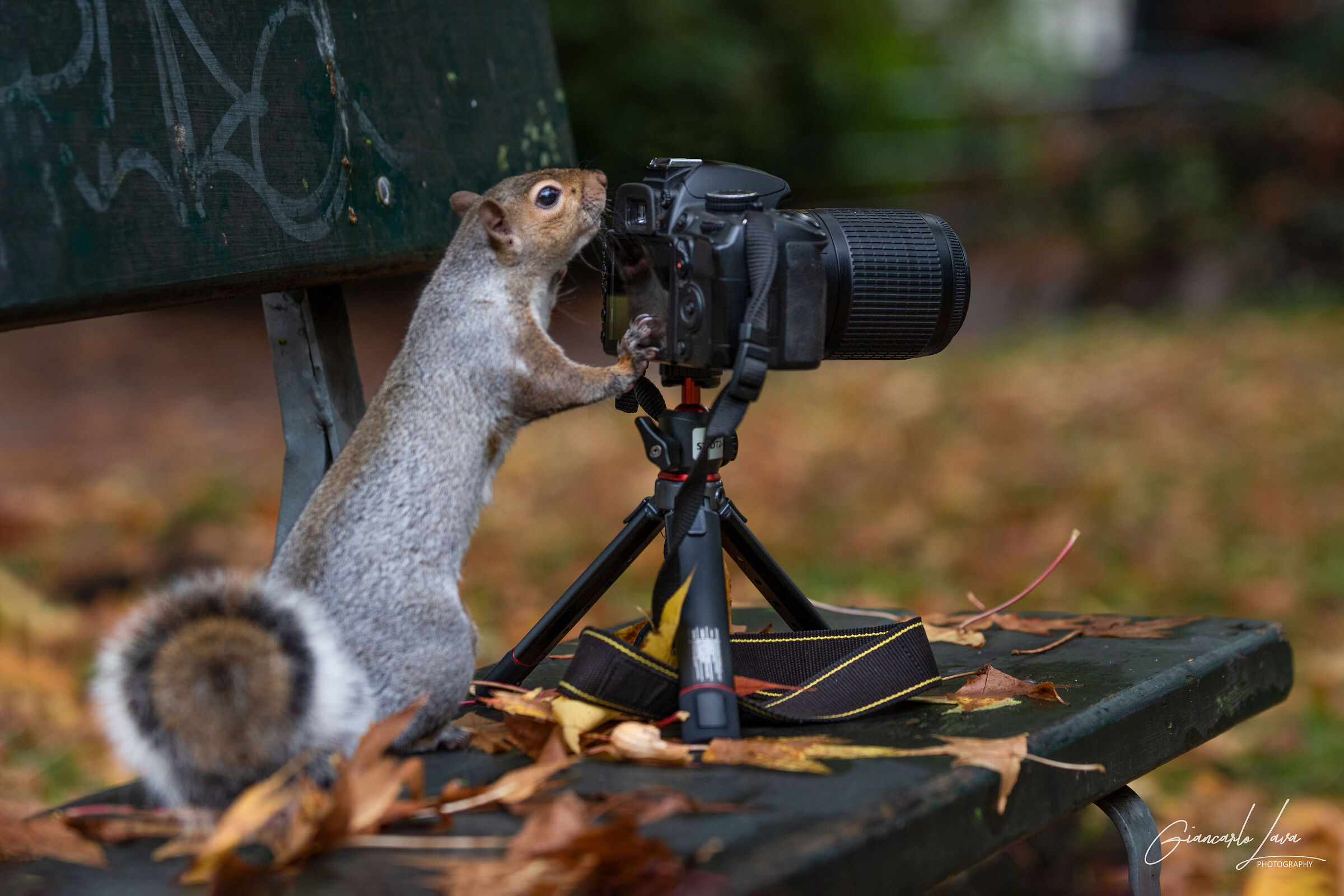 When you are about to take a photo and you are anticipated..