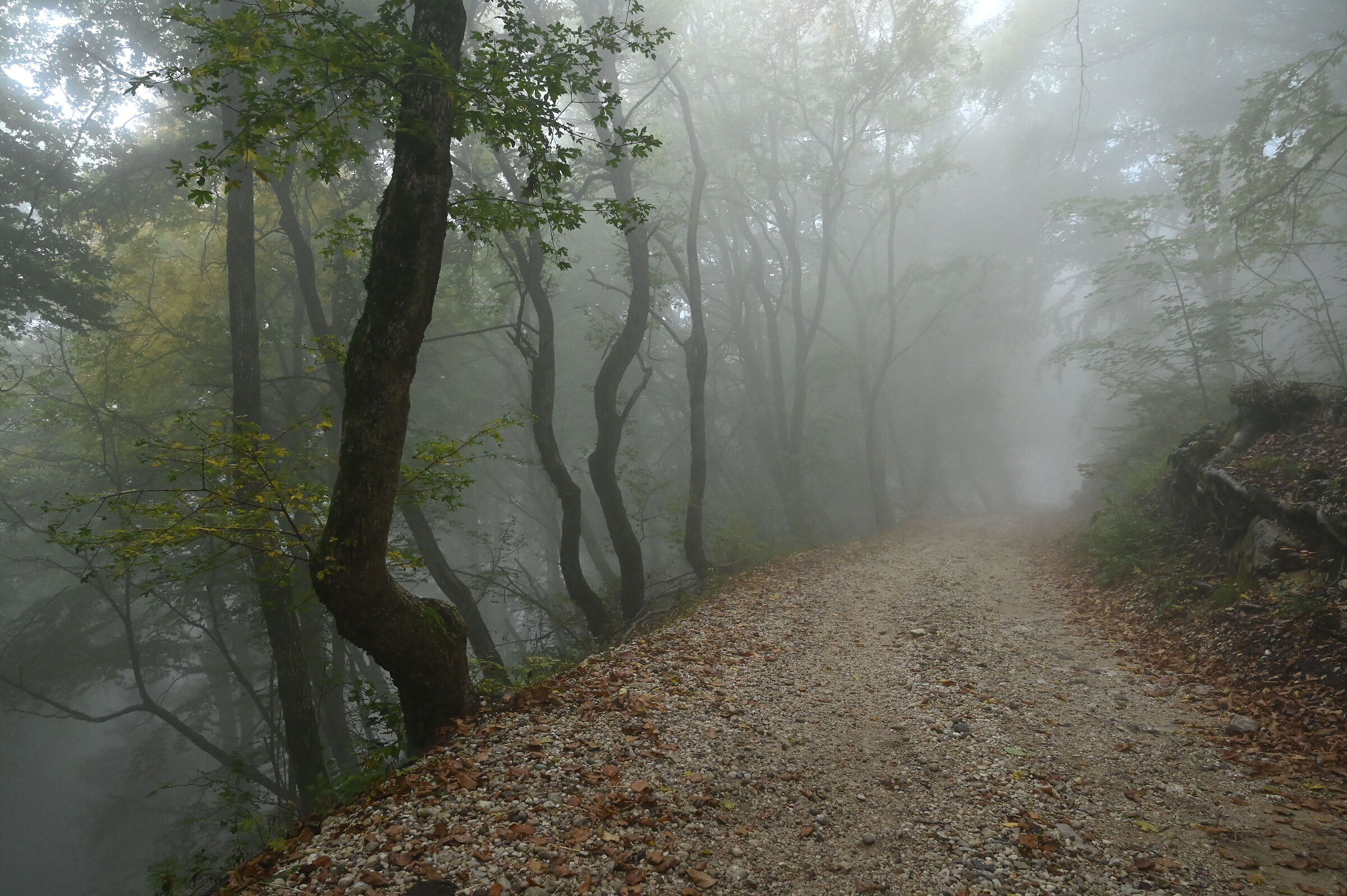 Malga IME - dintorni