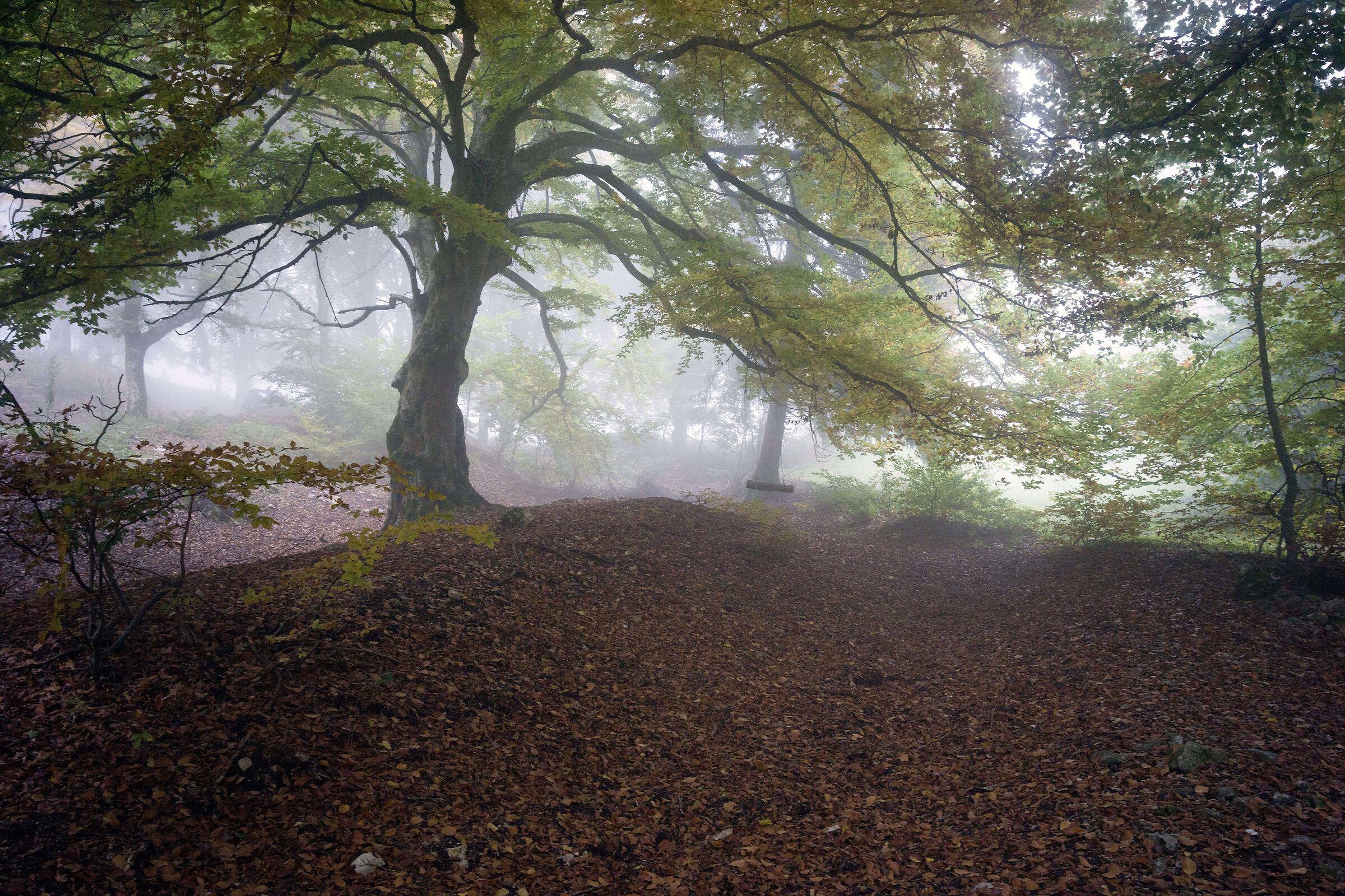 Malga IME - dintorni - Monte Baldo