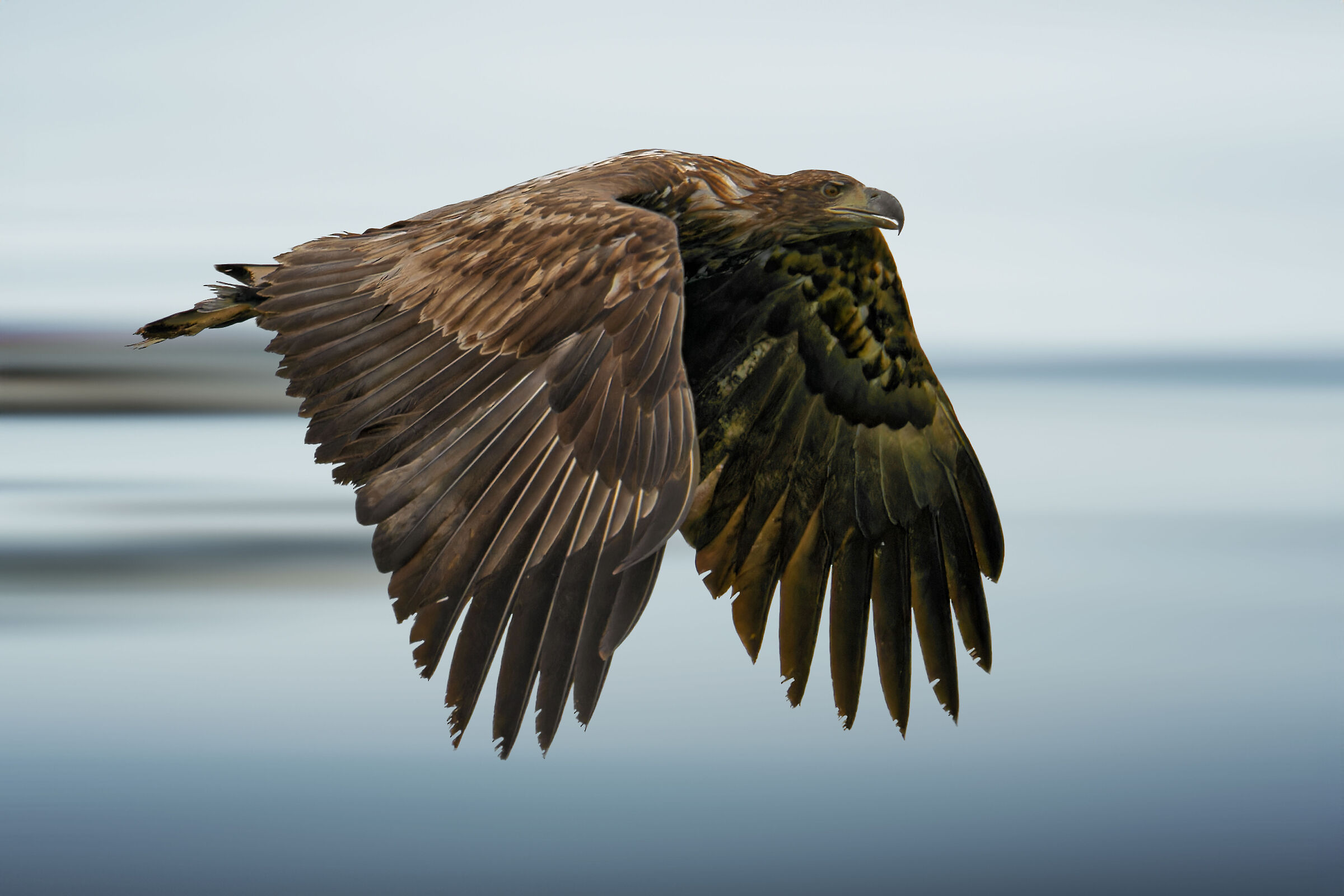 Flying over the sea