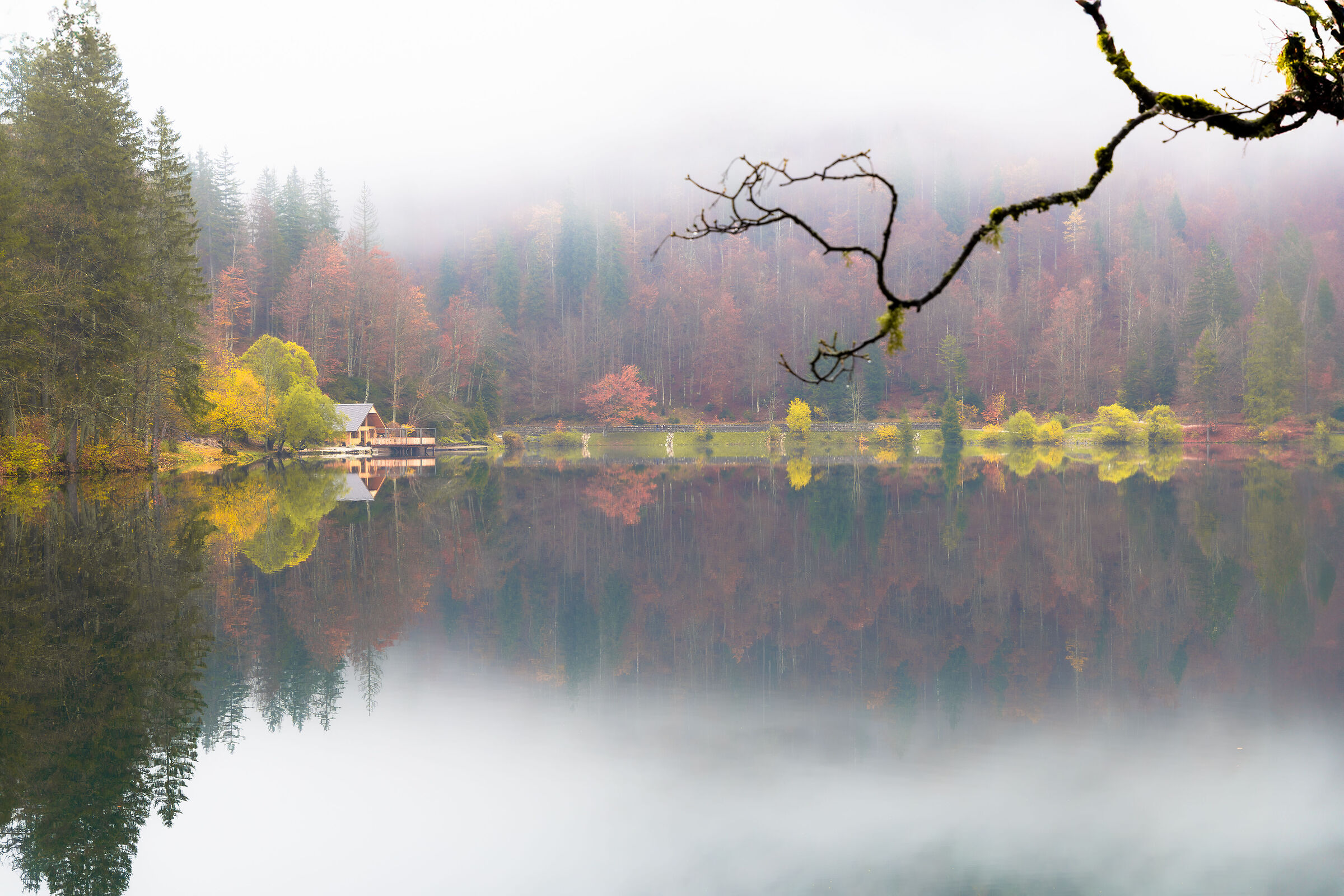 In the fog of Fusine