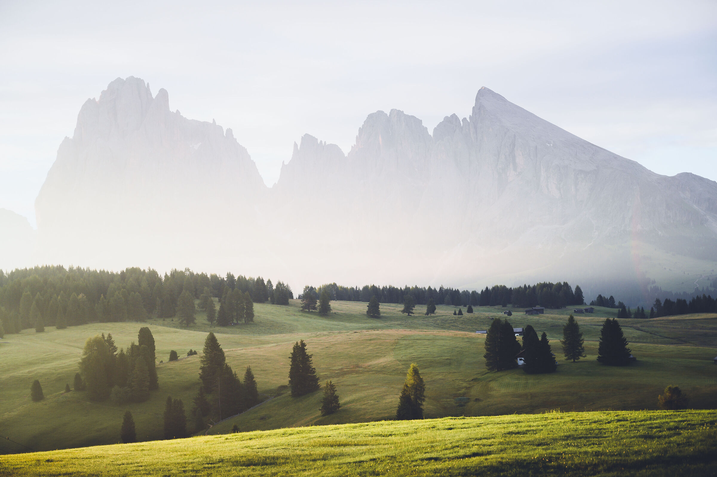 Alpe di Siusi