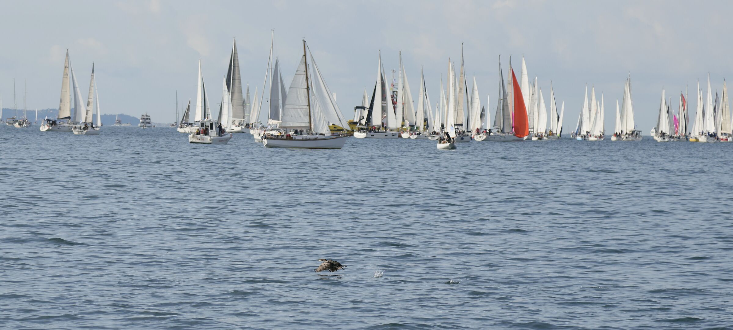 barcolana 2024