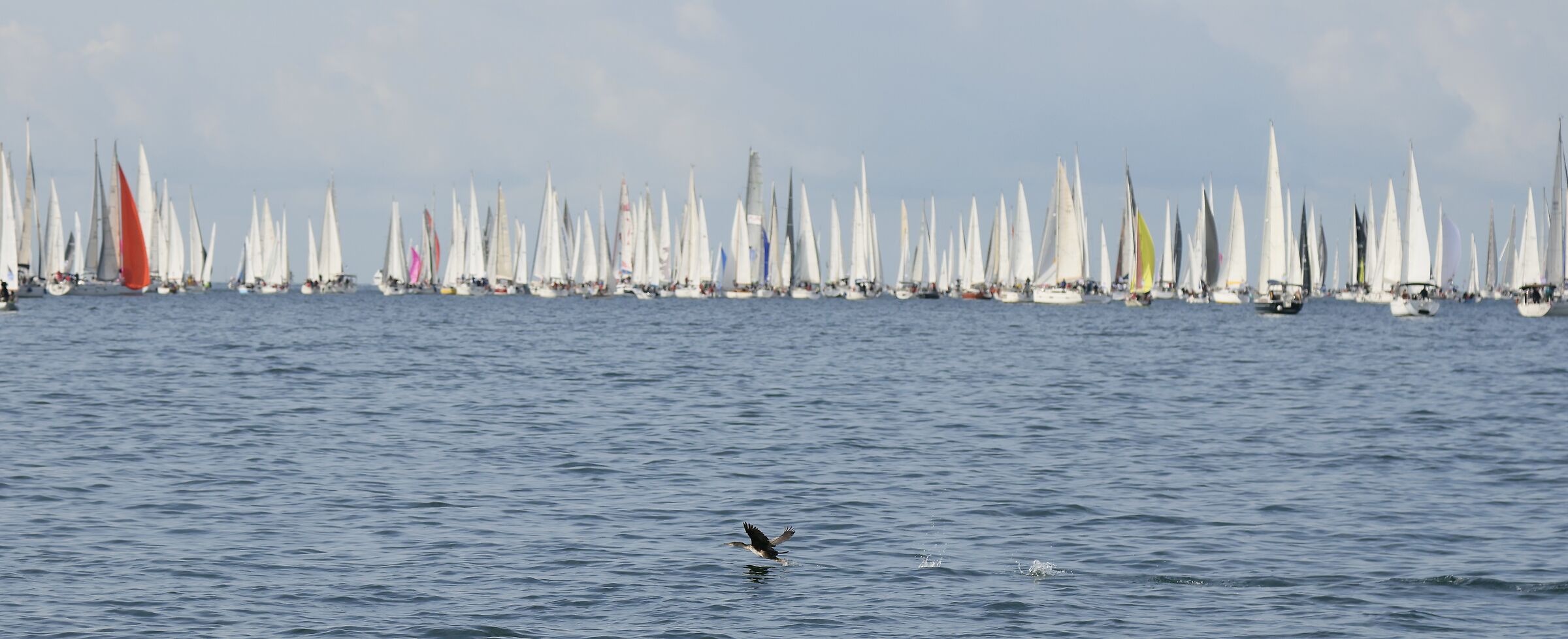 barcolana 2024