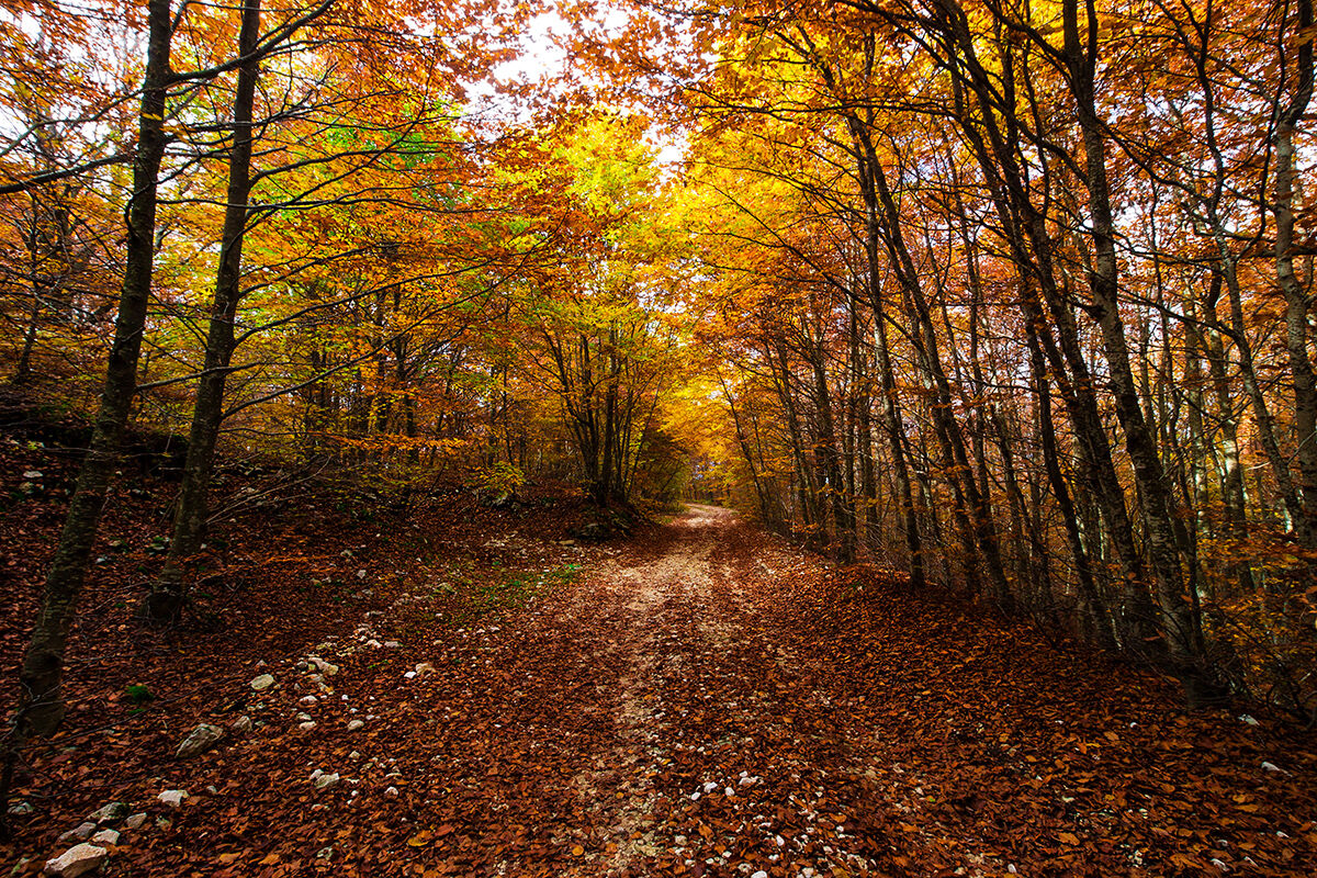 Colours in Lessinia