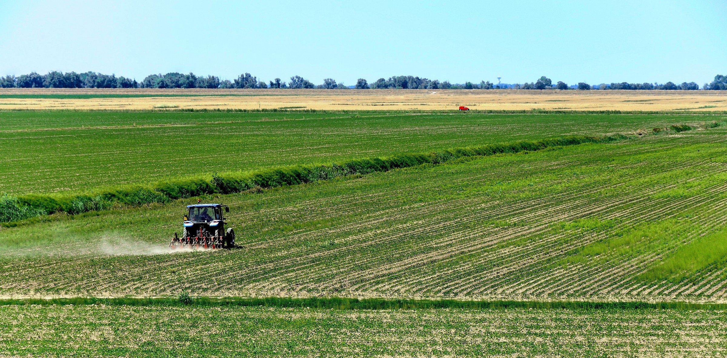 Parco del Delta del Po - Campagna presso Porto Tolle