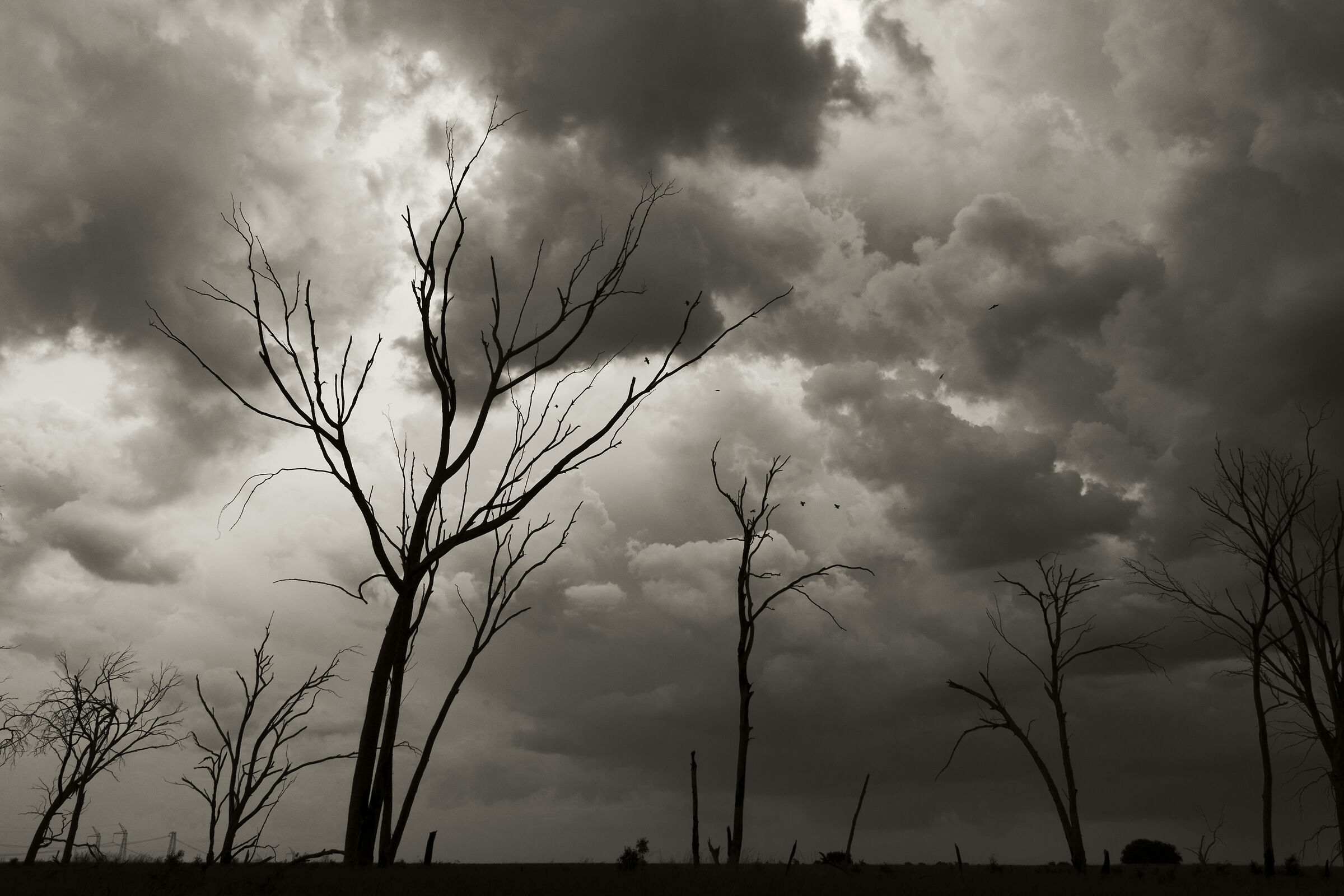 Alfred Hitchcock ispirato