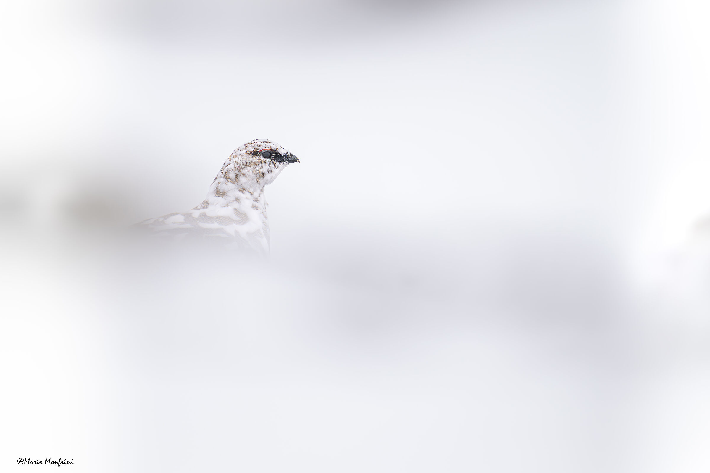 Quasi pronta per l'inverno