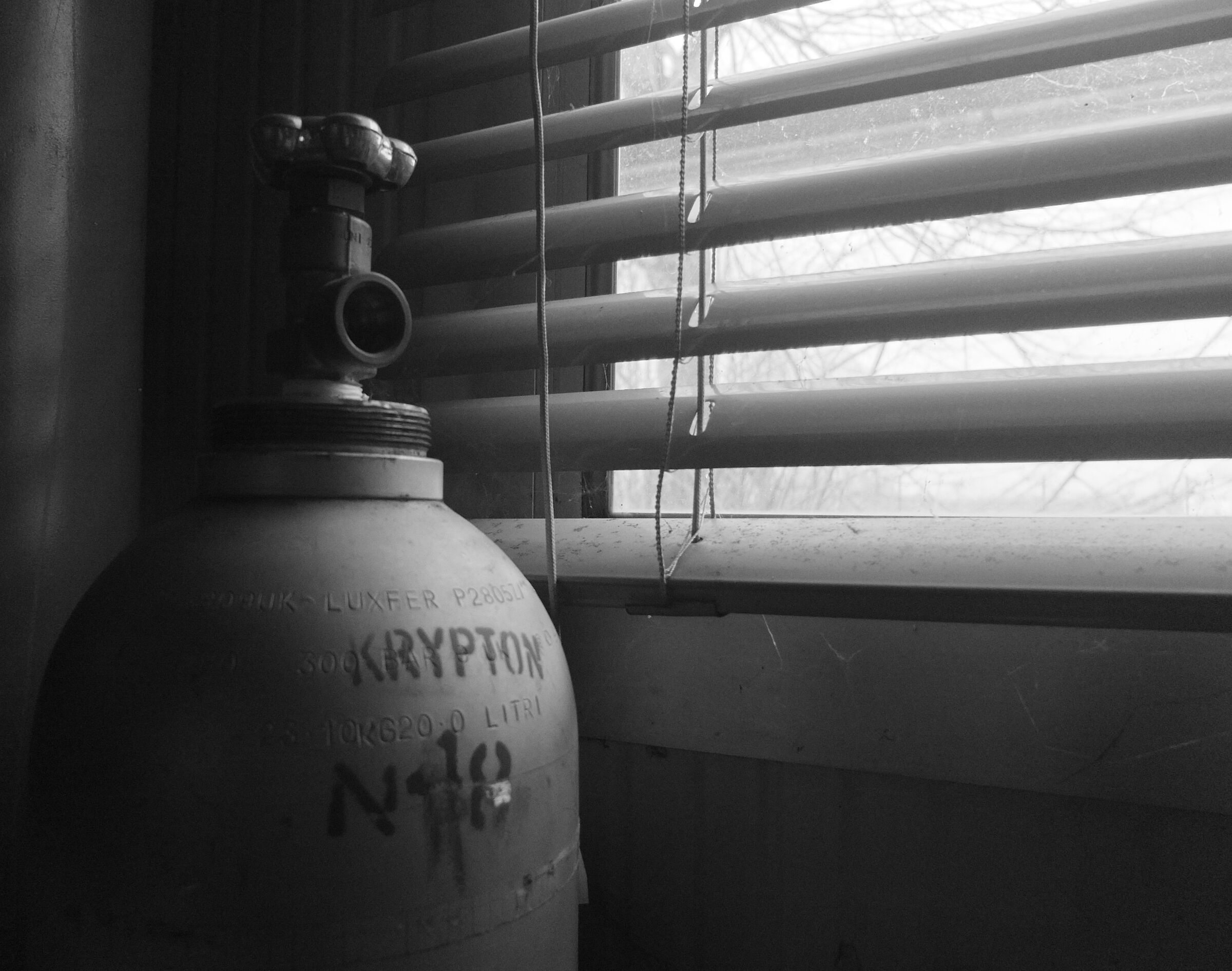 Krypton looks out the window