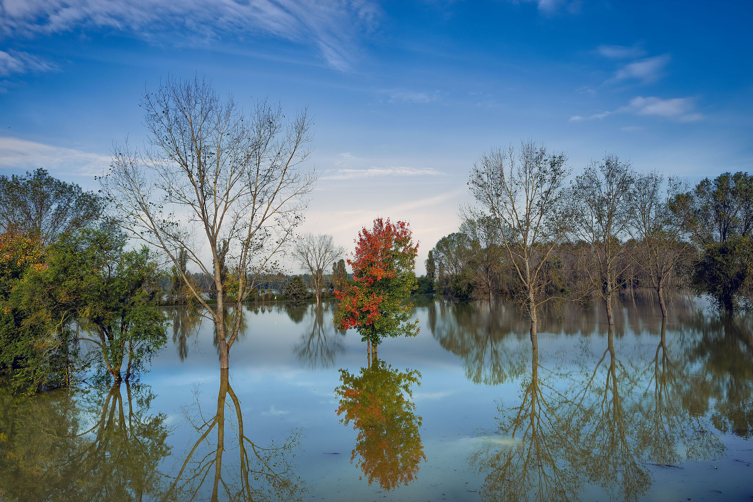 Po in the floodplain