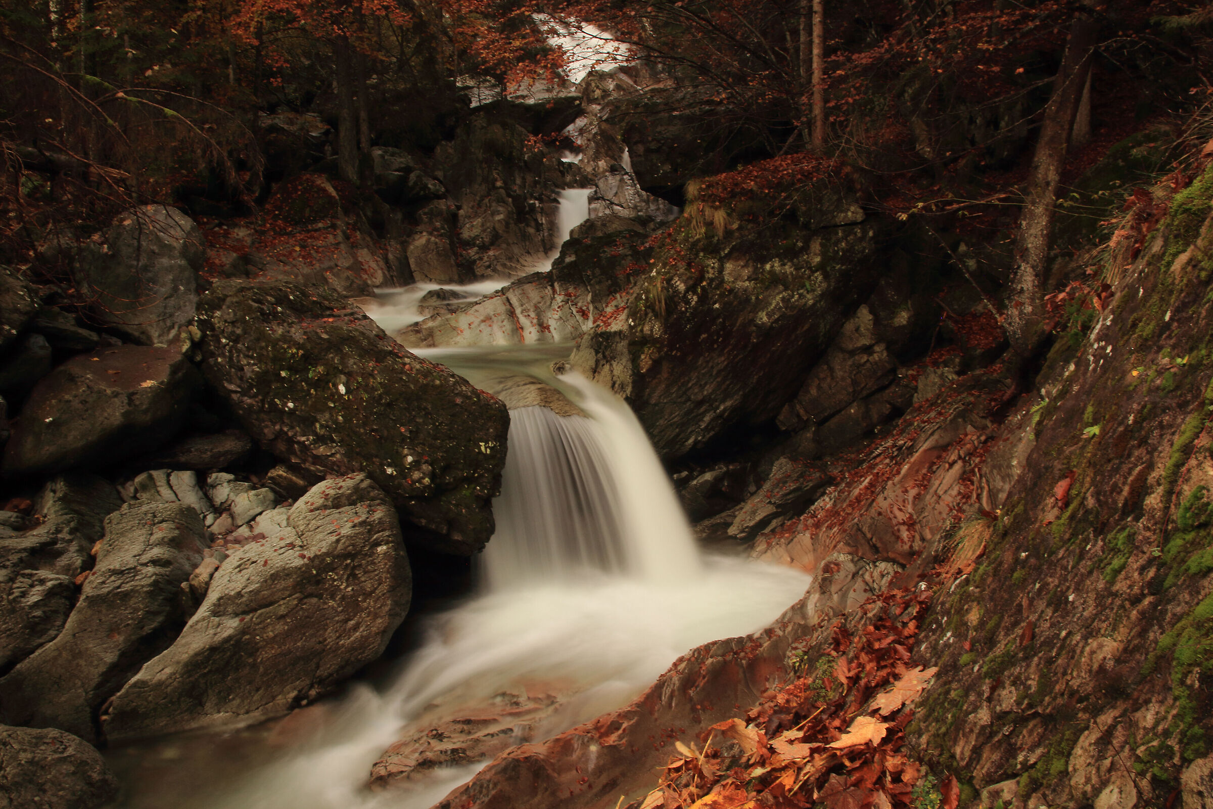 Autumn magic in Valsangue