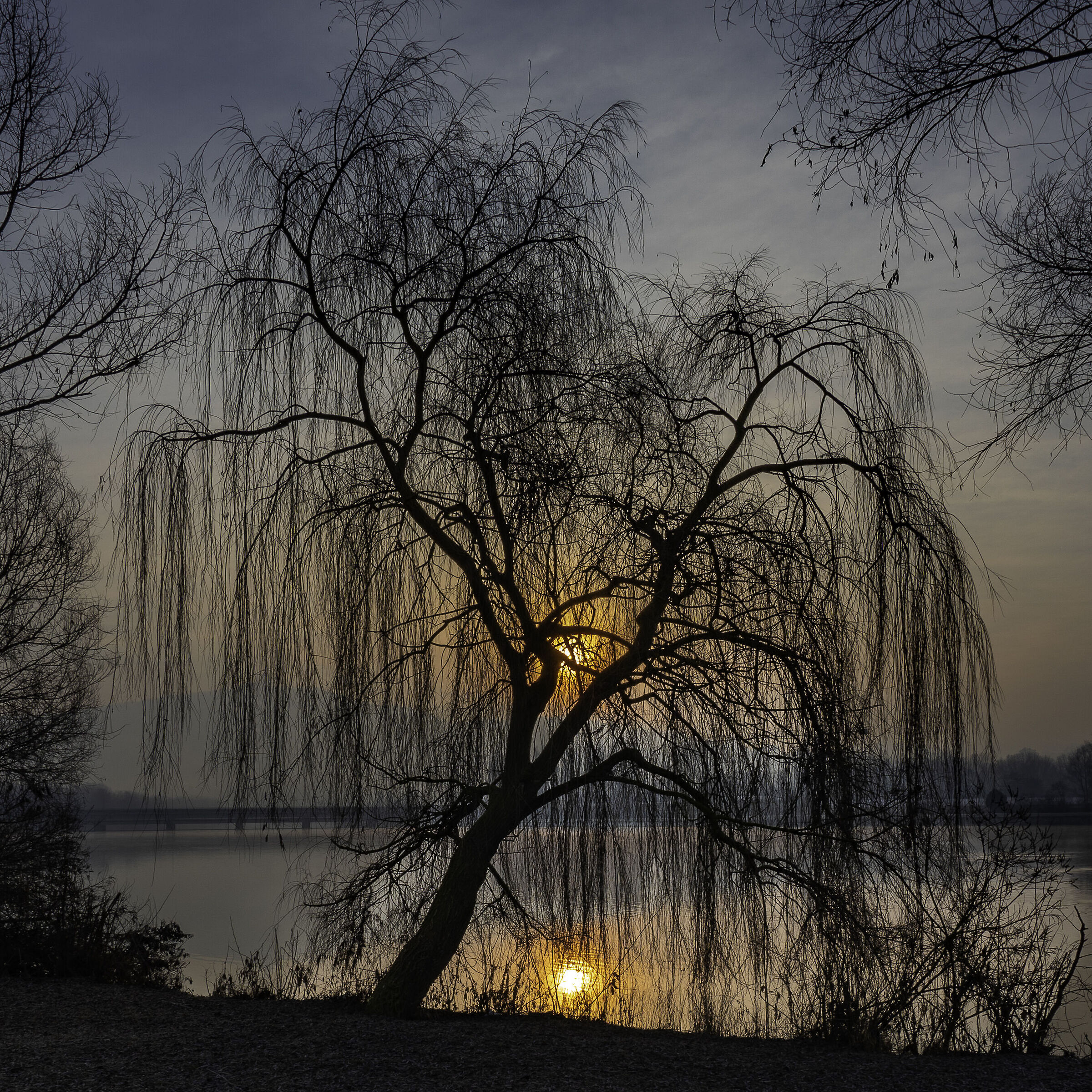 Parco Colletta Torino
