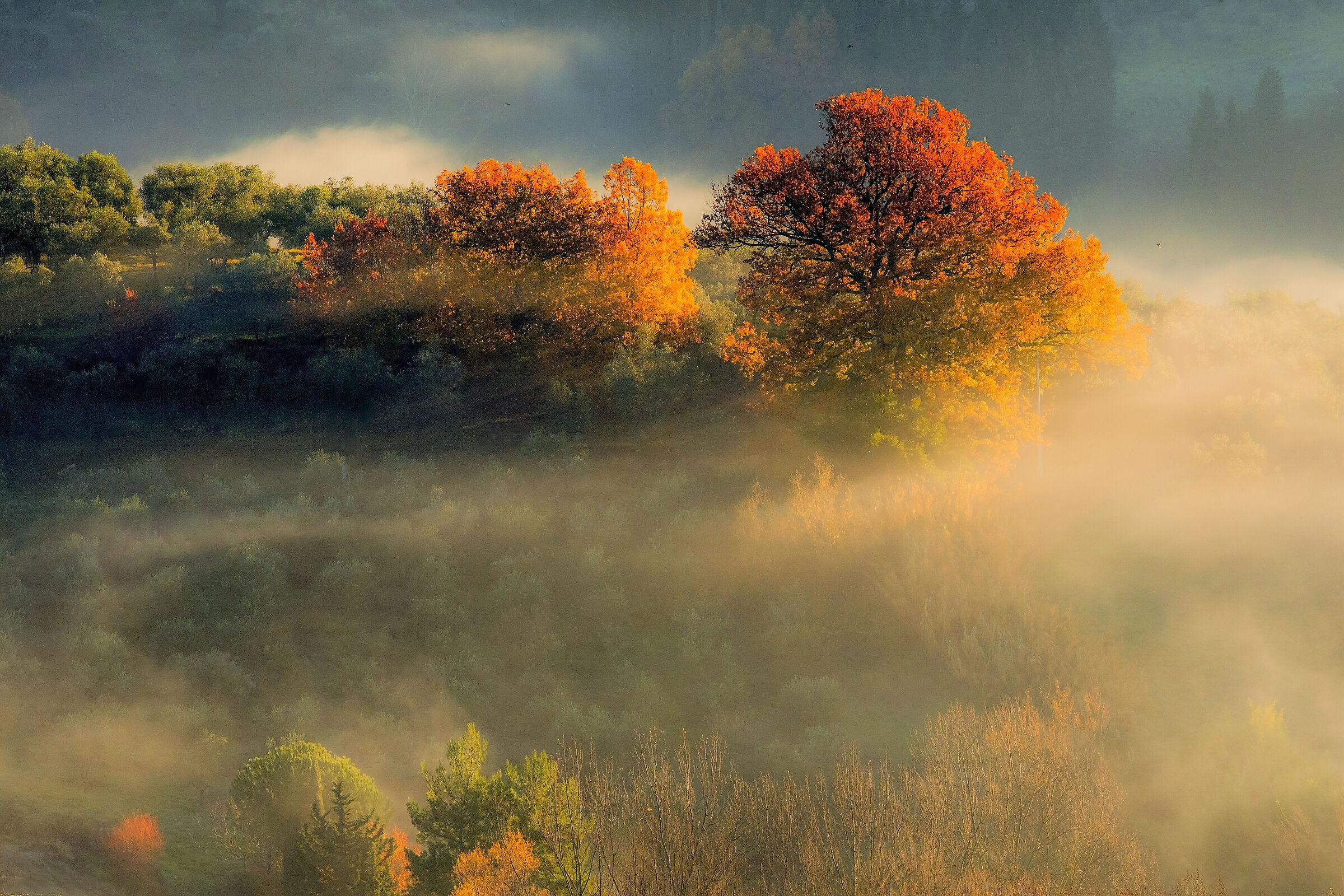 autunno toscano.