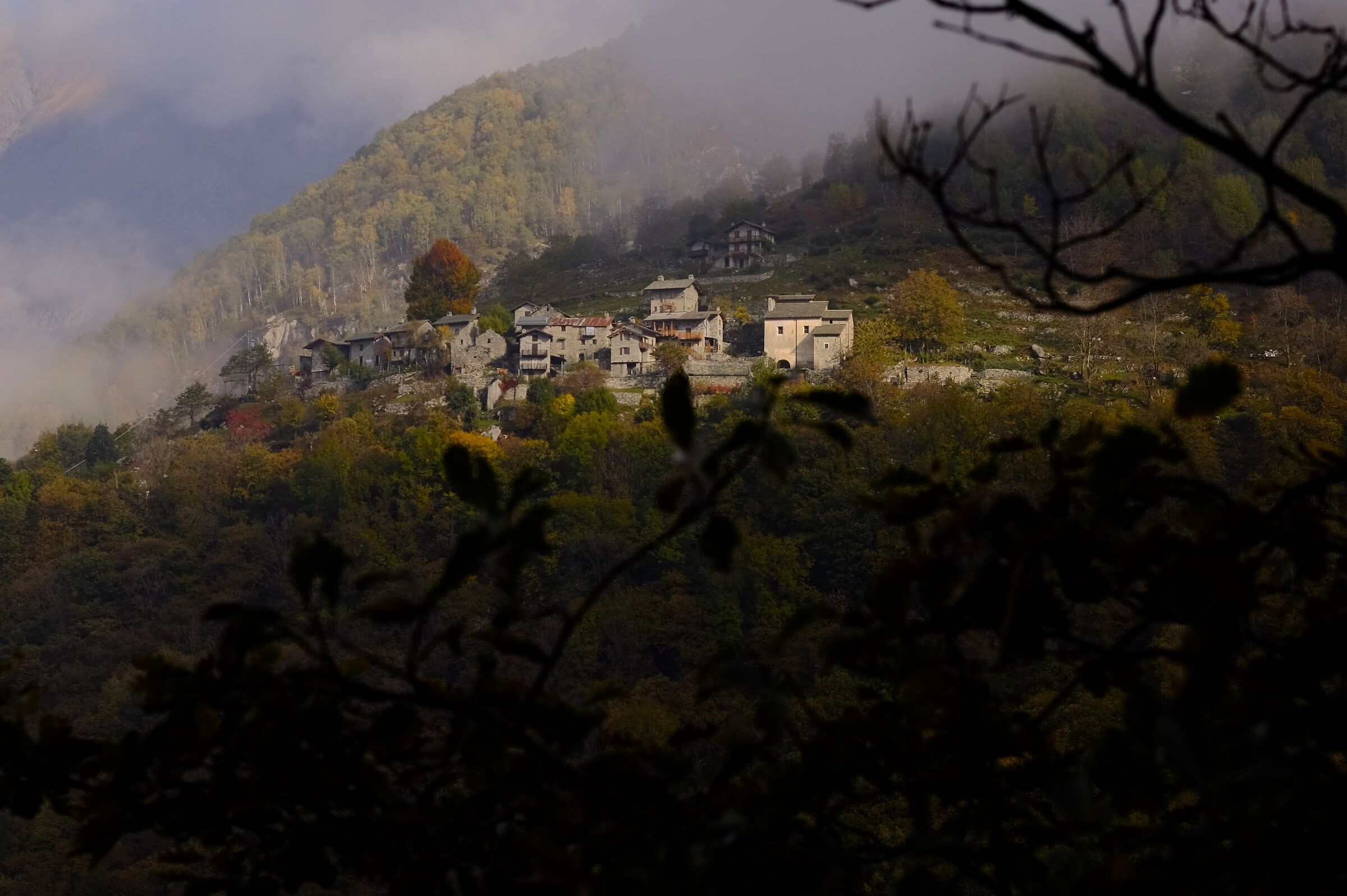 Tracciolino in autunno