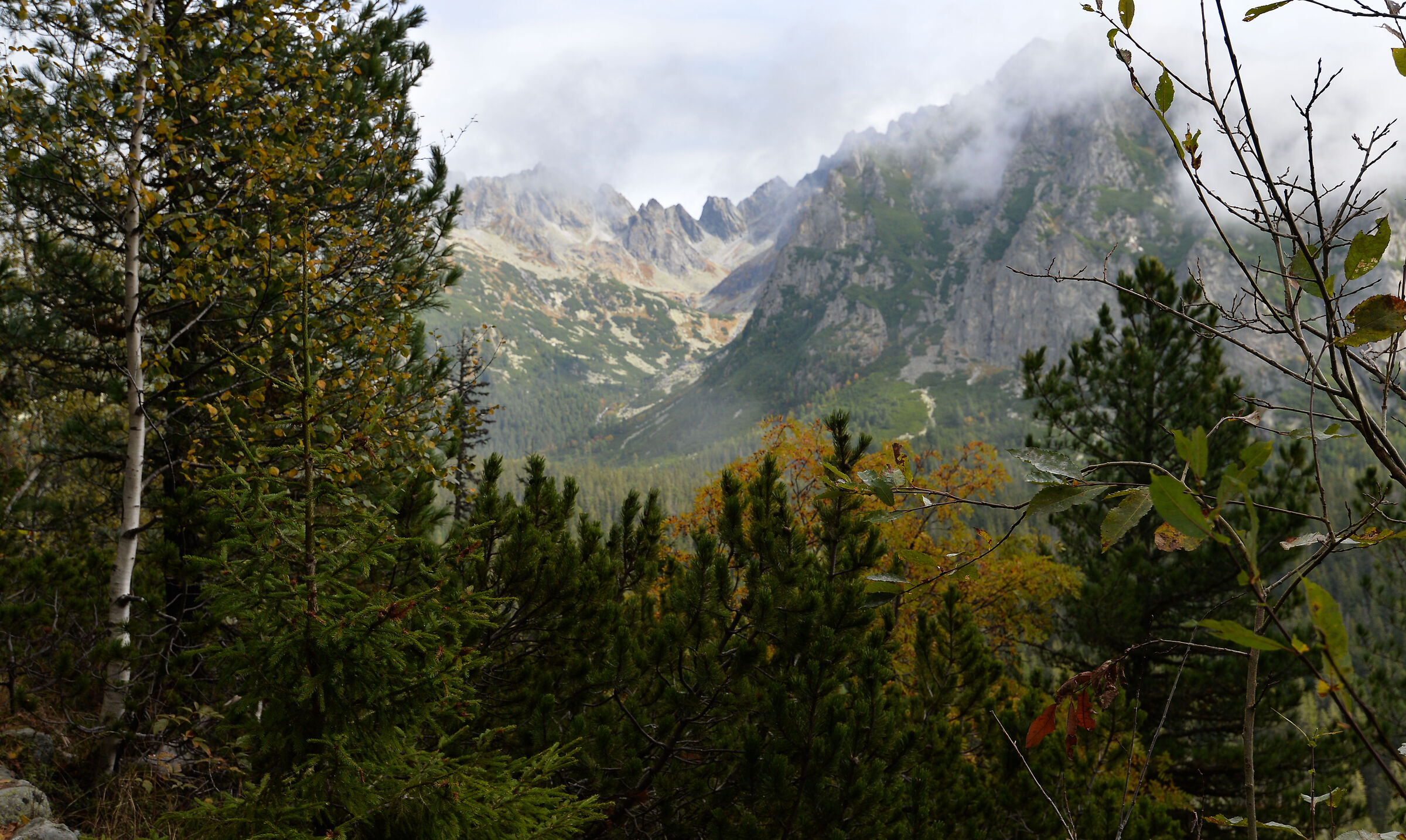 Verso Popradske Pleso. Alti Tatra 7