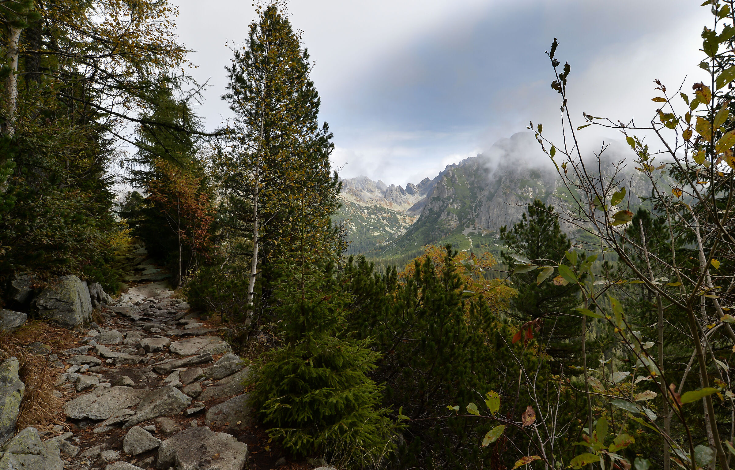 Verso Popradske Pleso. Alti Tatra 8
