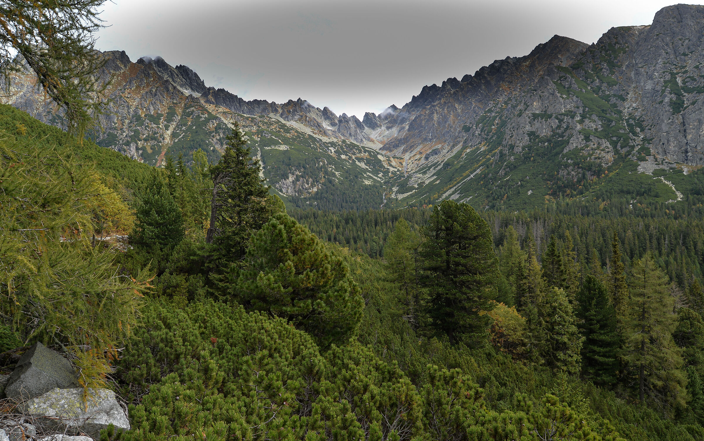 Verso Popradske Pleso. Alti Tatra 9