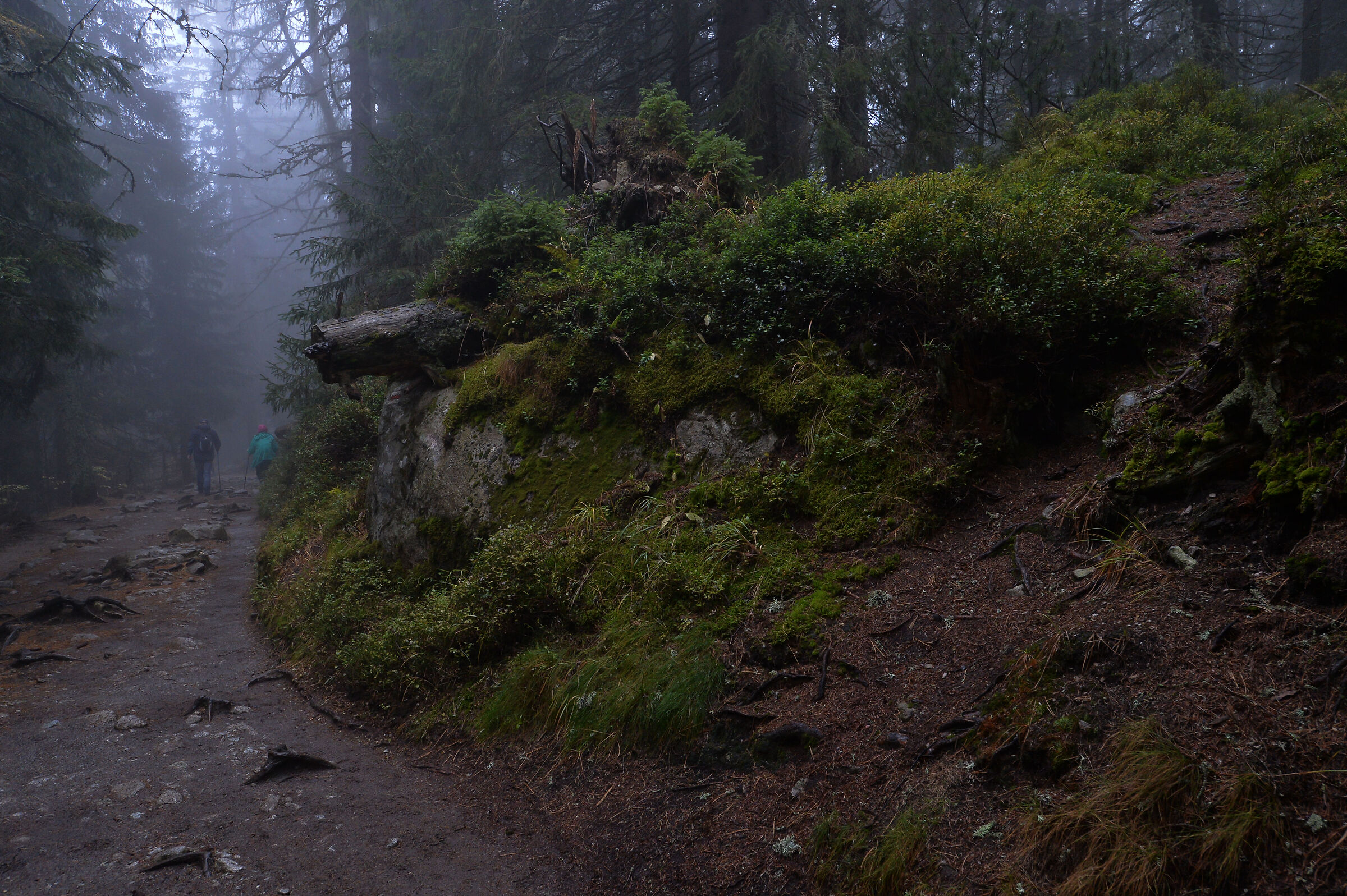 Alti Tatra. Slovacchia