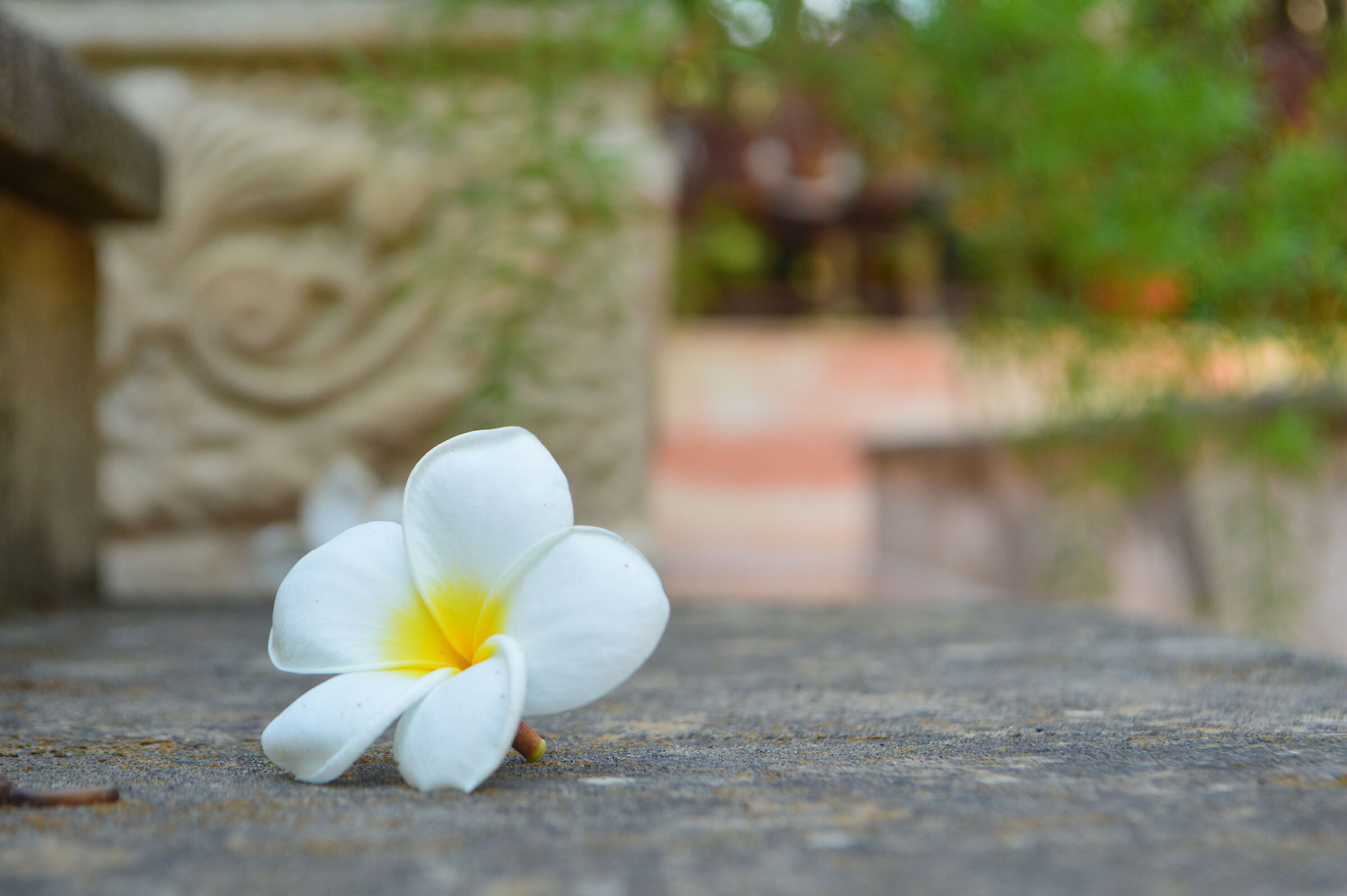 When you break away before your time...