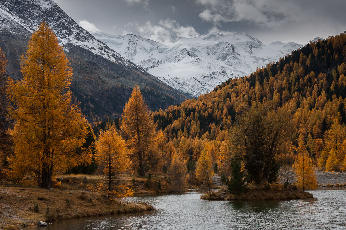 Morteratsch and its autumn ...