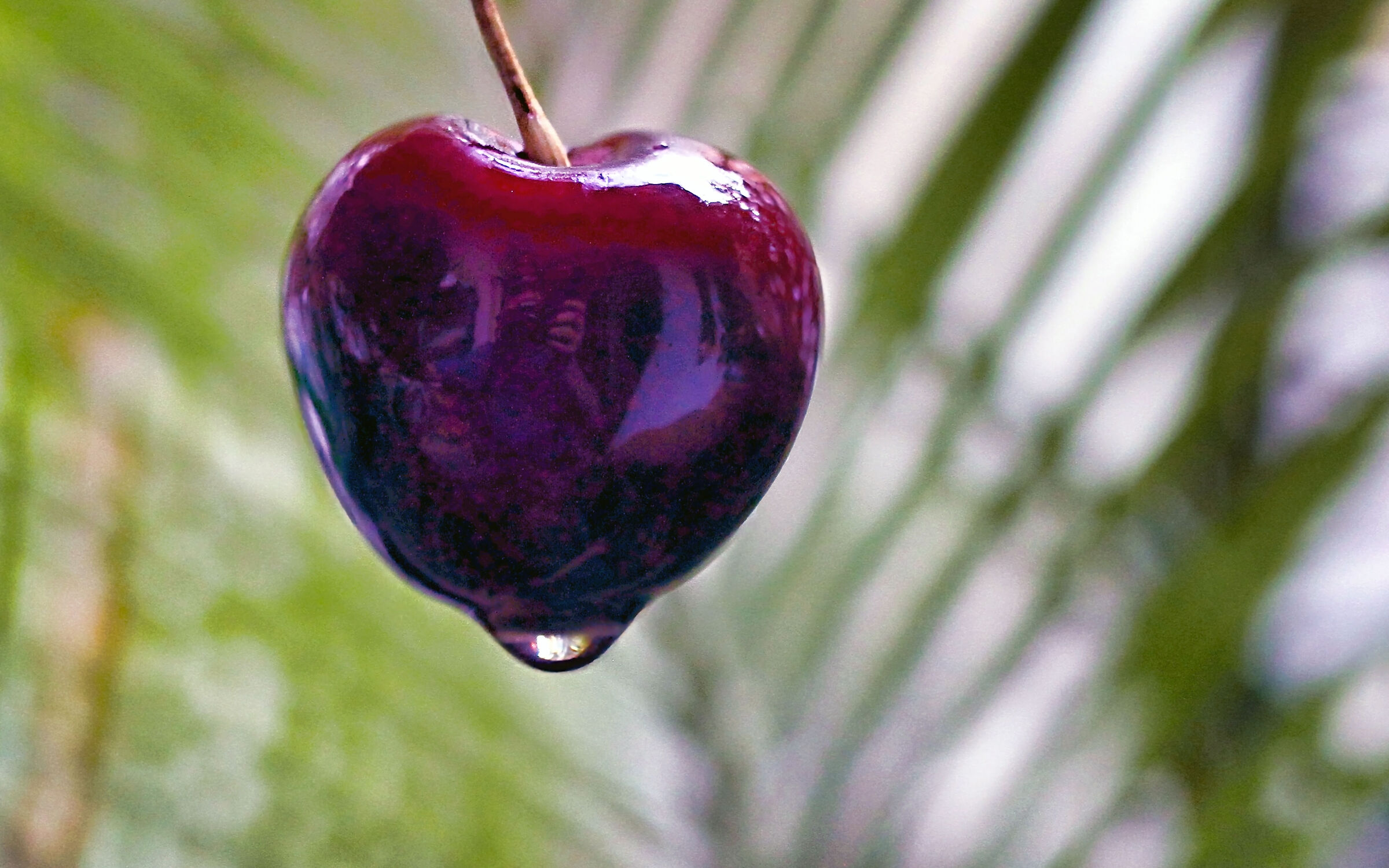 Reflection in the cherry