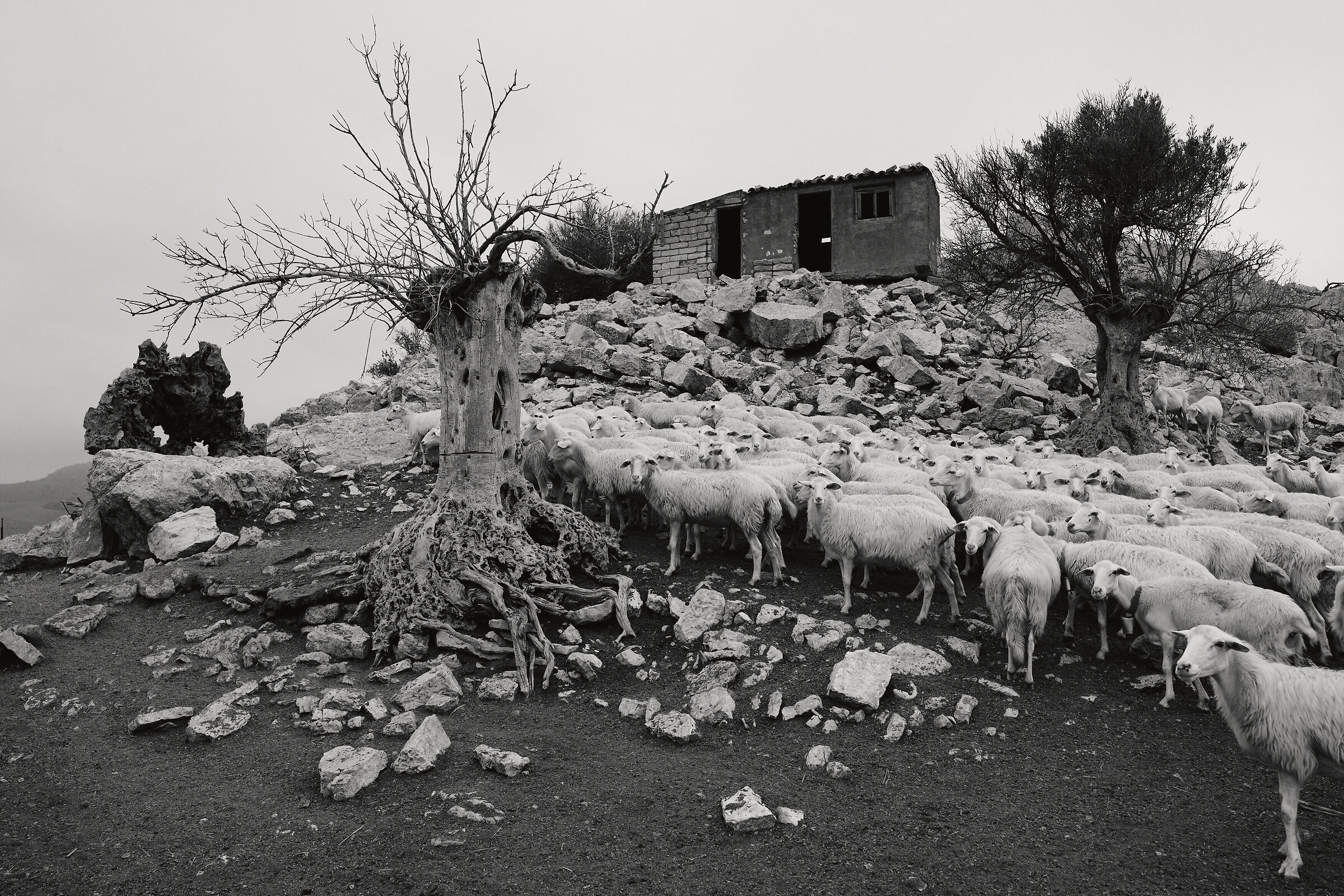 Wuthering Heights-Emily Bronte