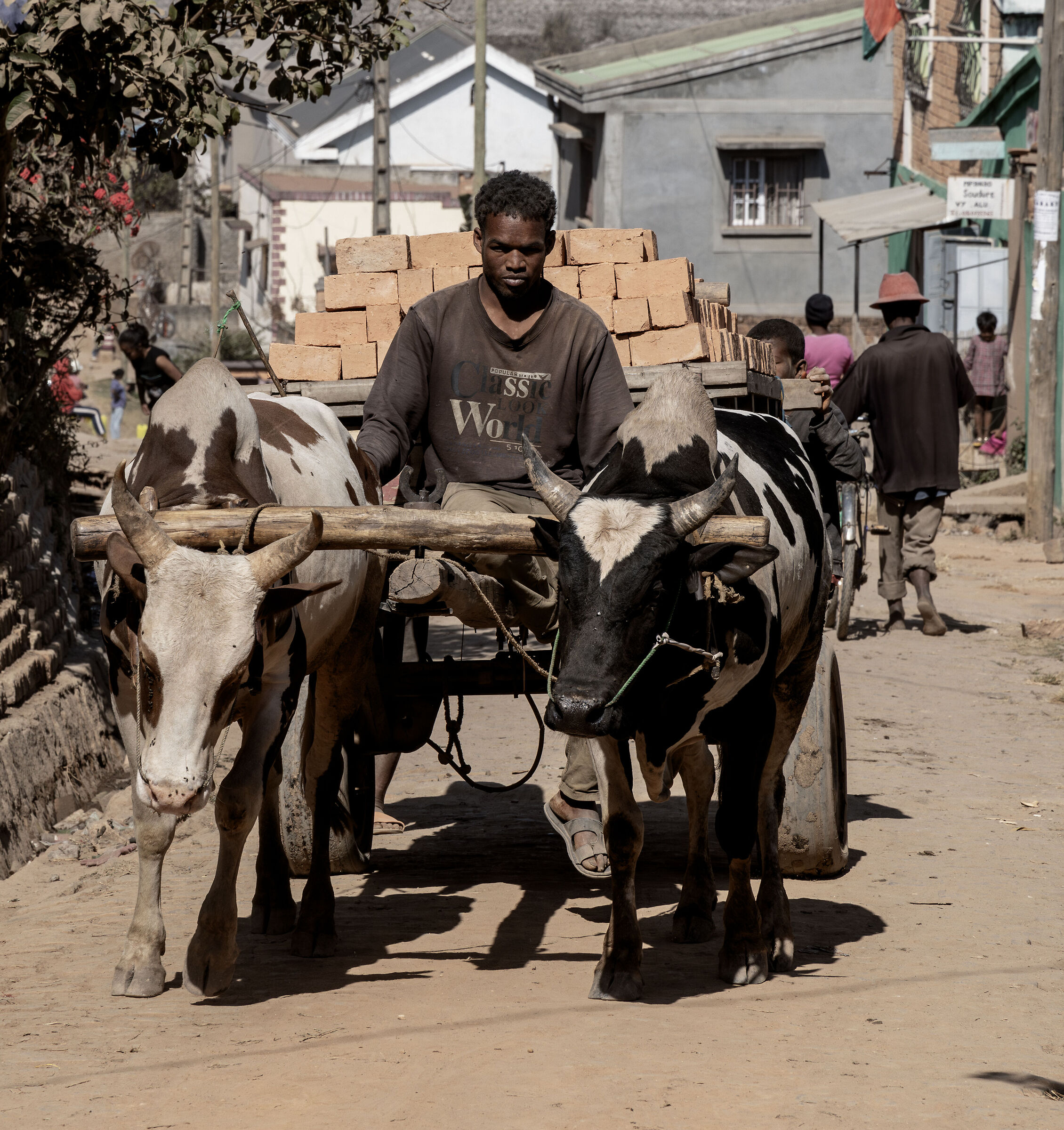 zebu-drawn cart near Antananarivo