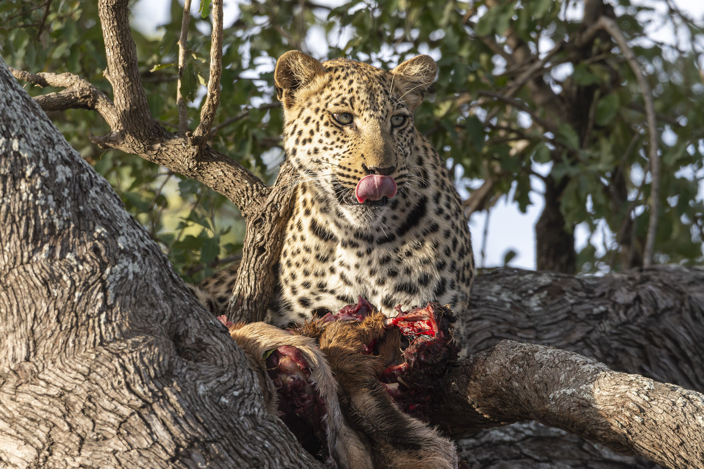 Enjoy your meal