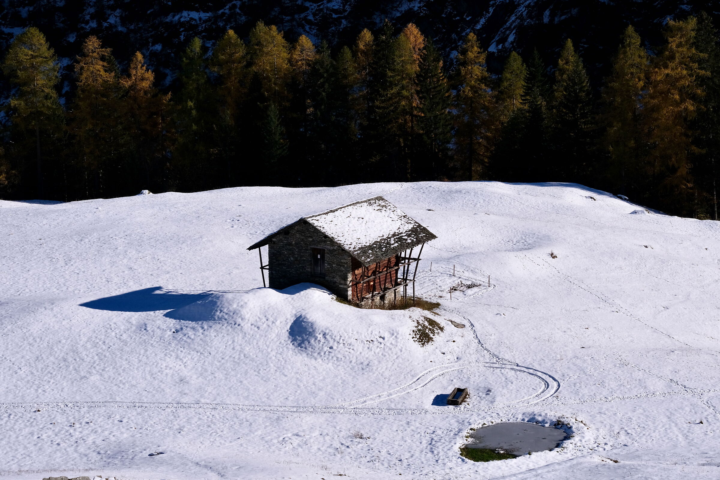 Non disturbare