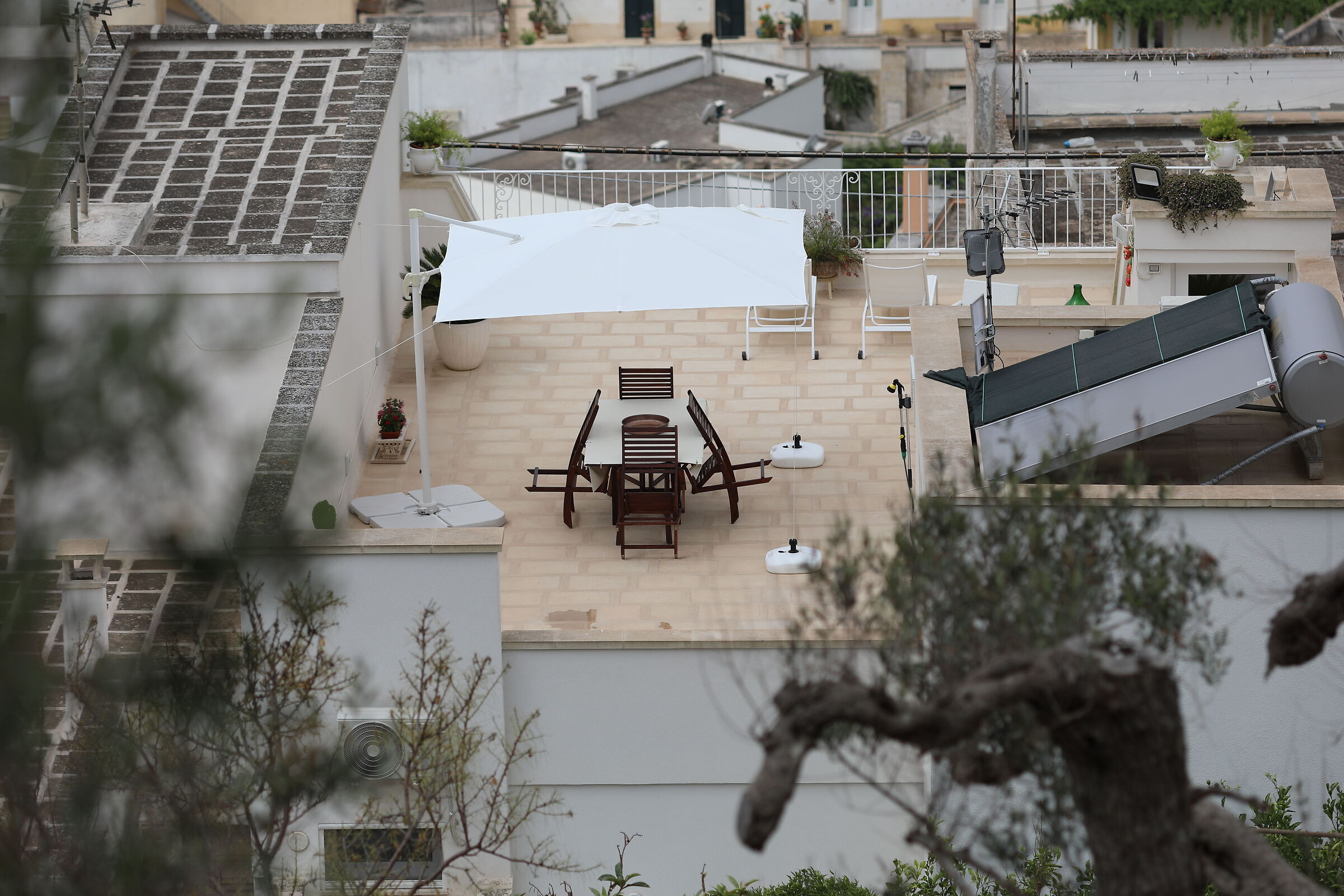 " Crop 189 " Canon 5 D IV, 135 F. 2 L Usm+ TC 1.4 ...