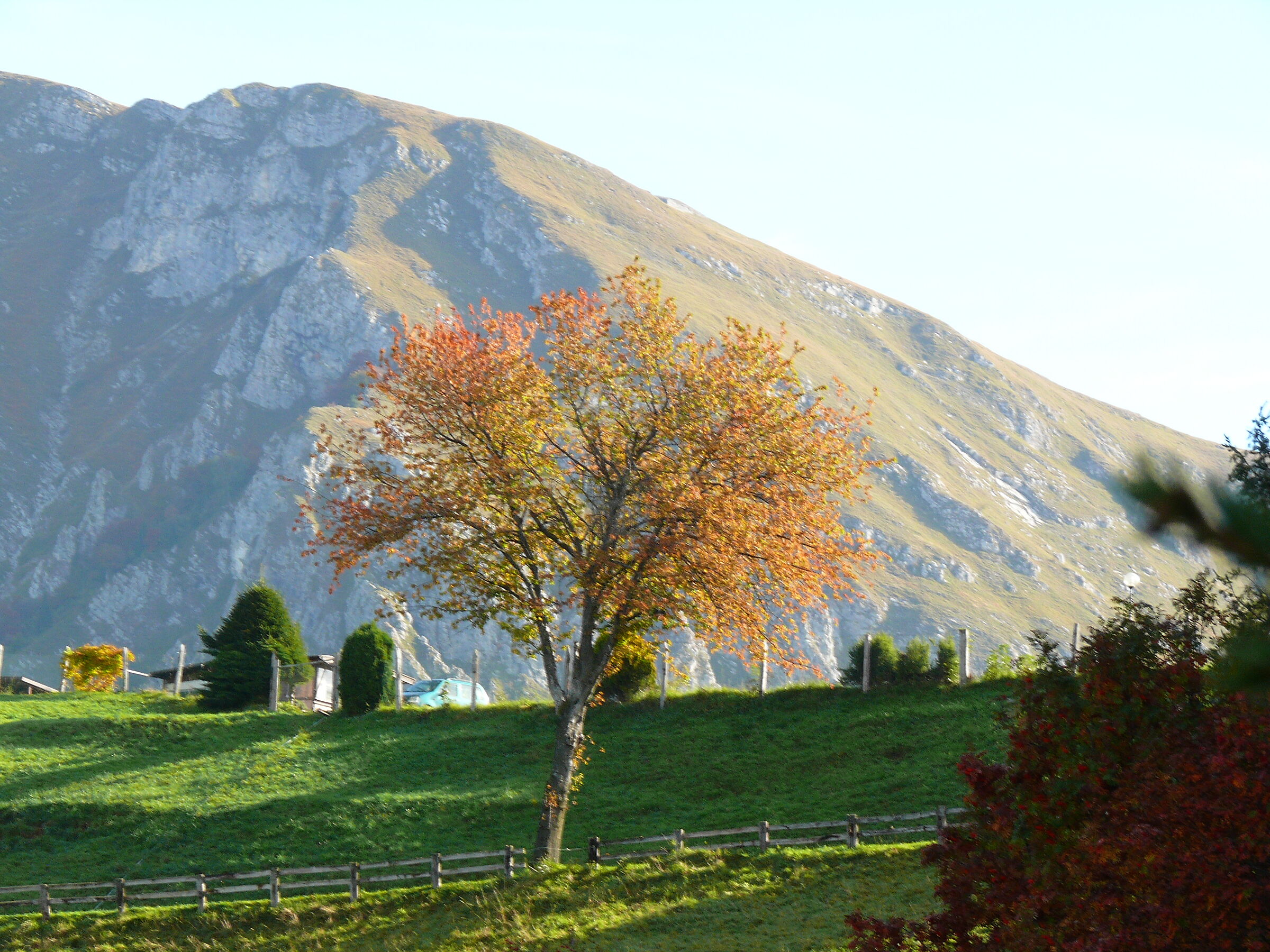 Autumn light and shadow play
