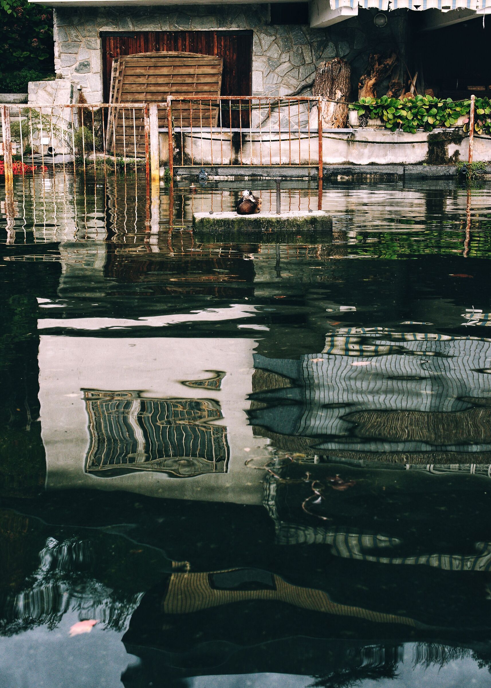 It reminds me of a painting by Schiele