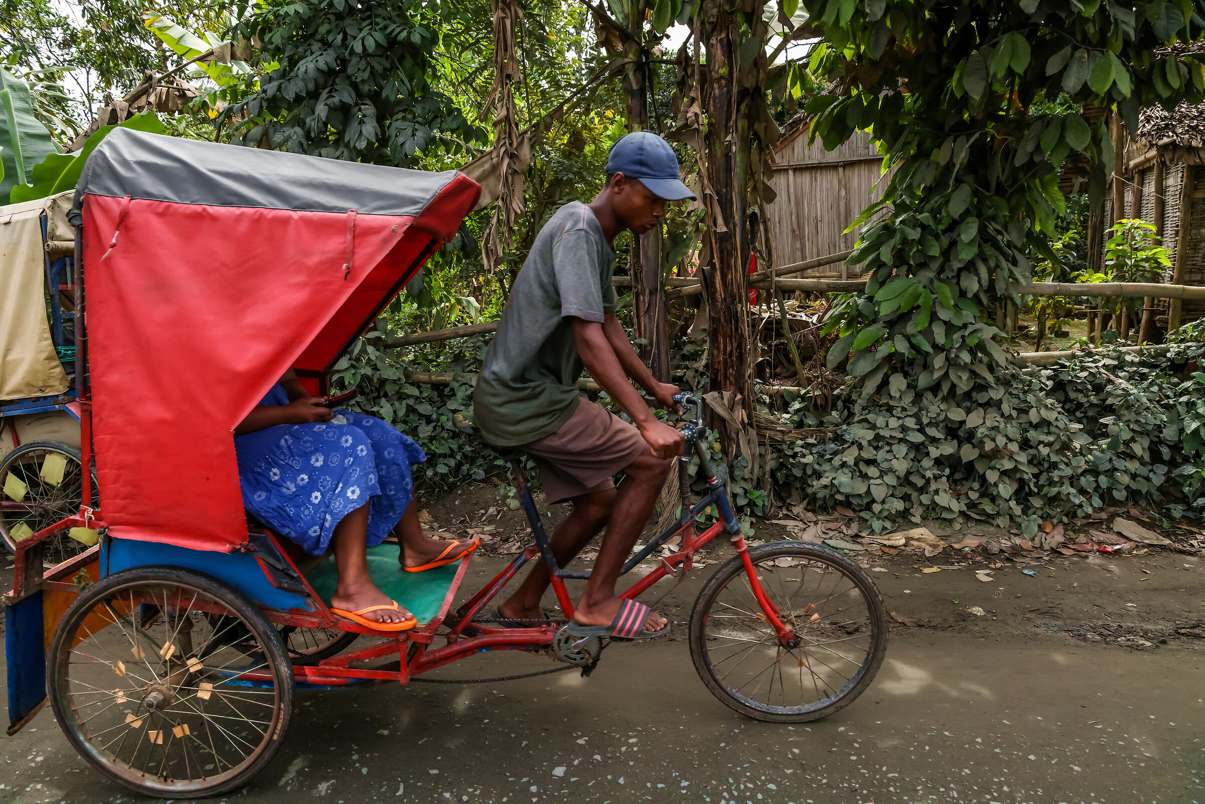 rickshaw eastern coast of Madagascar