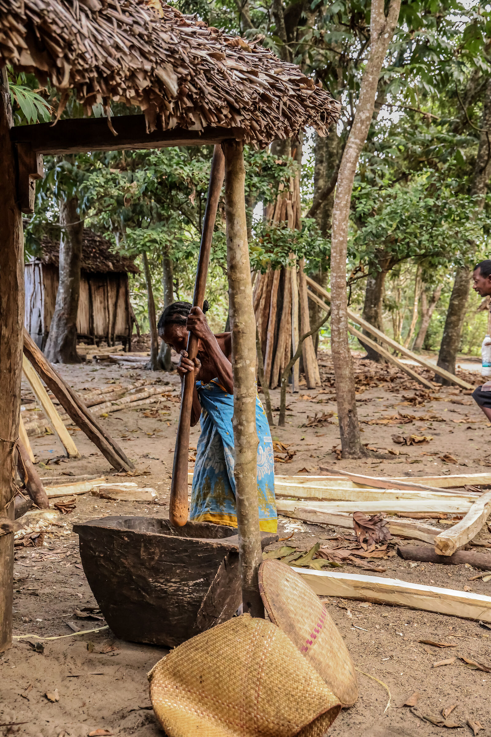 winnowing rice Betmisaraka woman