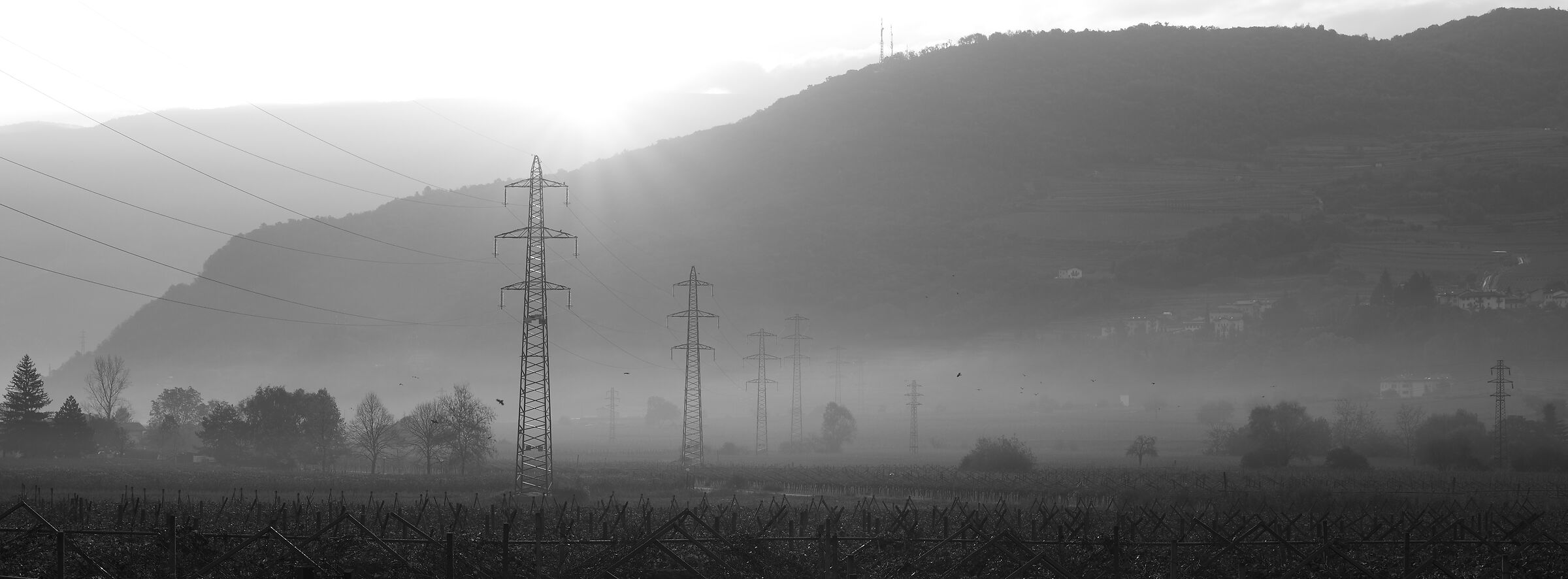 The pylons and the fog. Photo TEST LUMIX S5II backlight