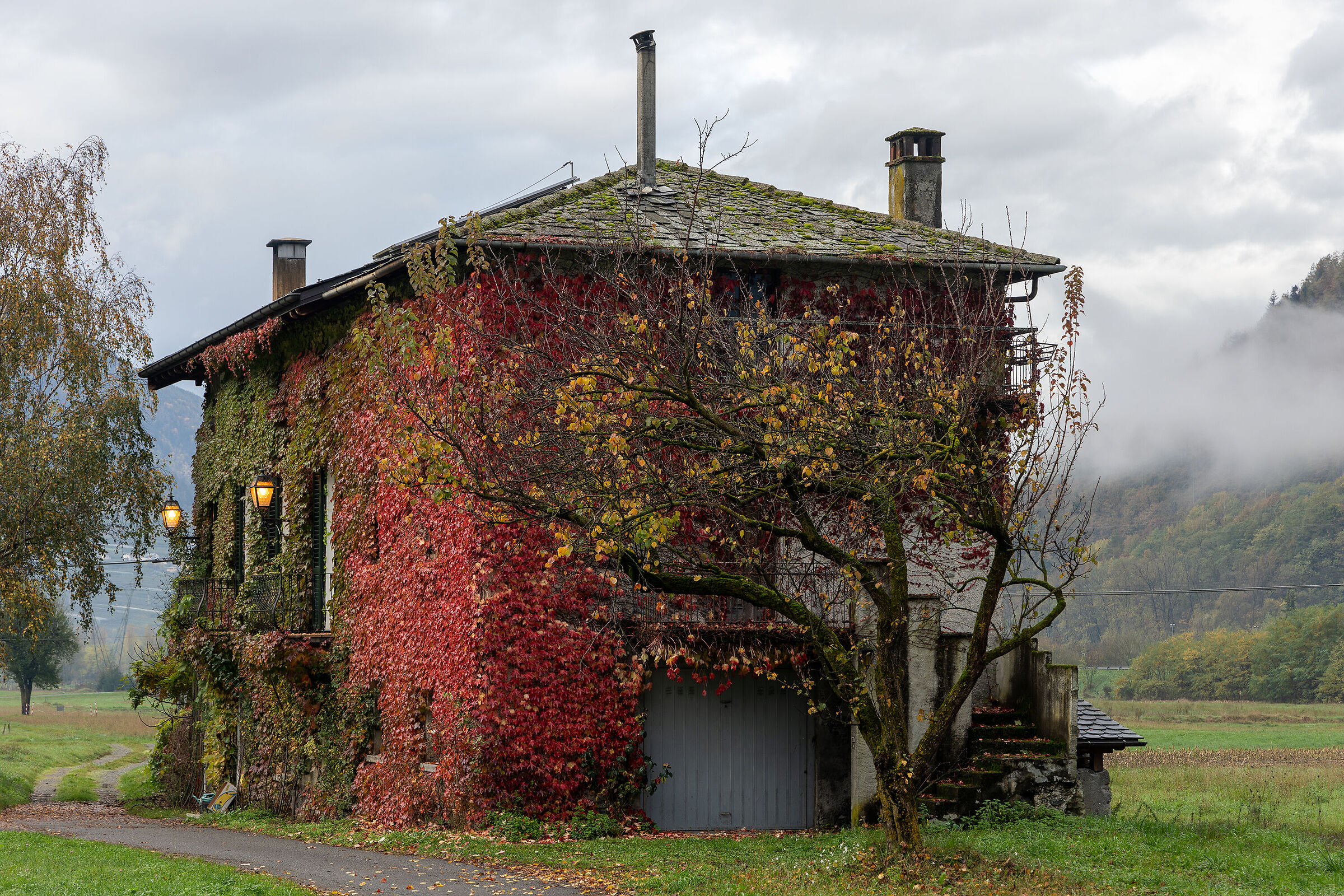 Old Mill
