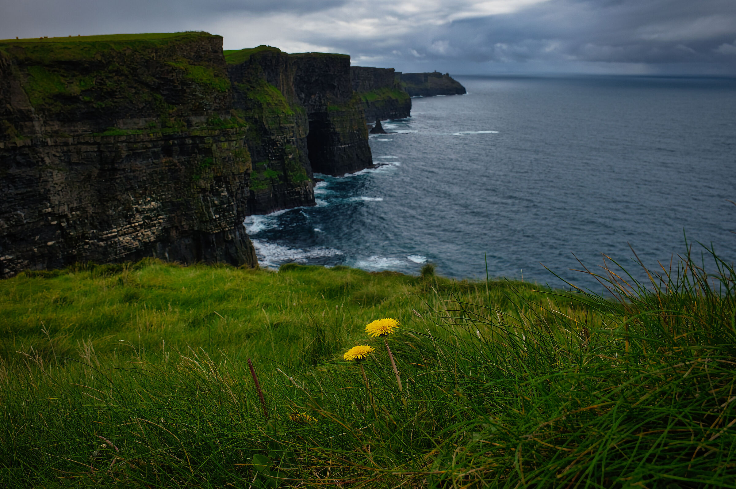 Cliffs of Moher