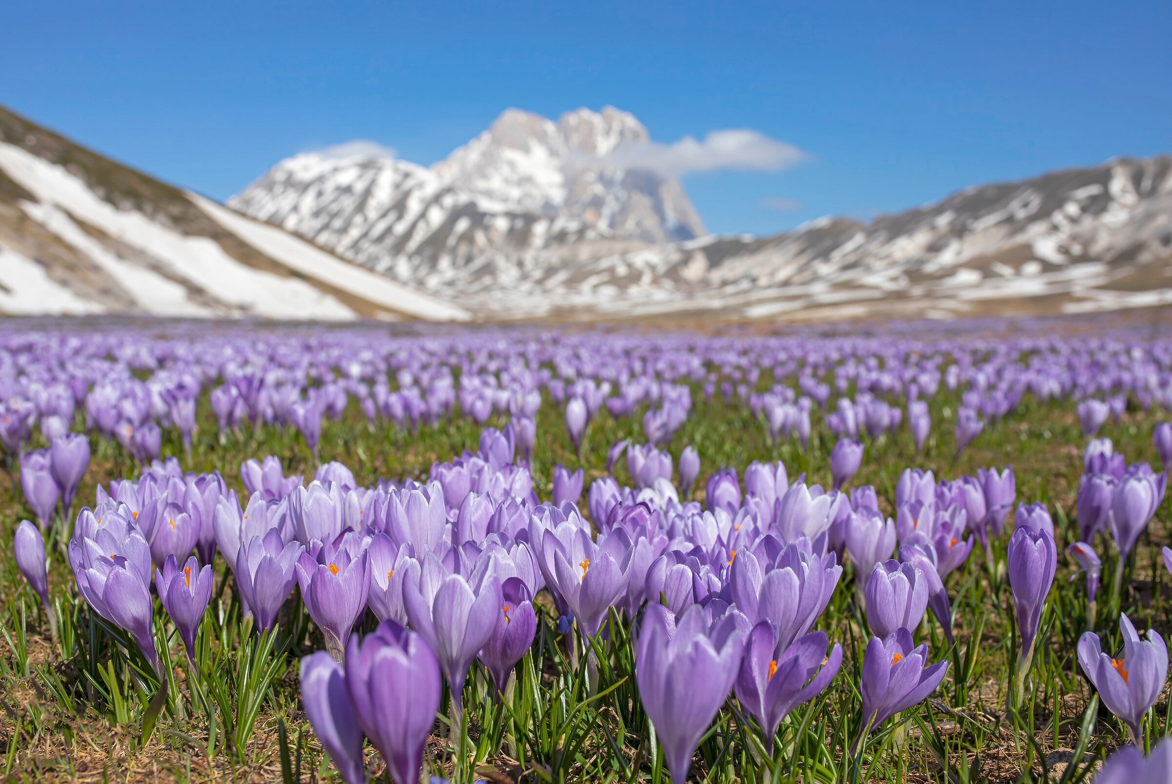 The Gran Sasso