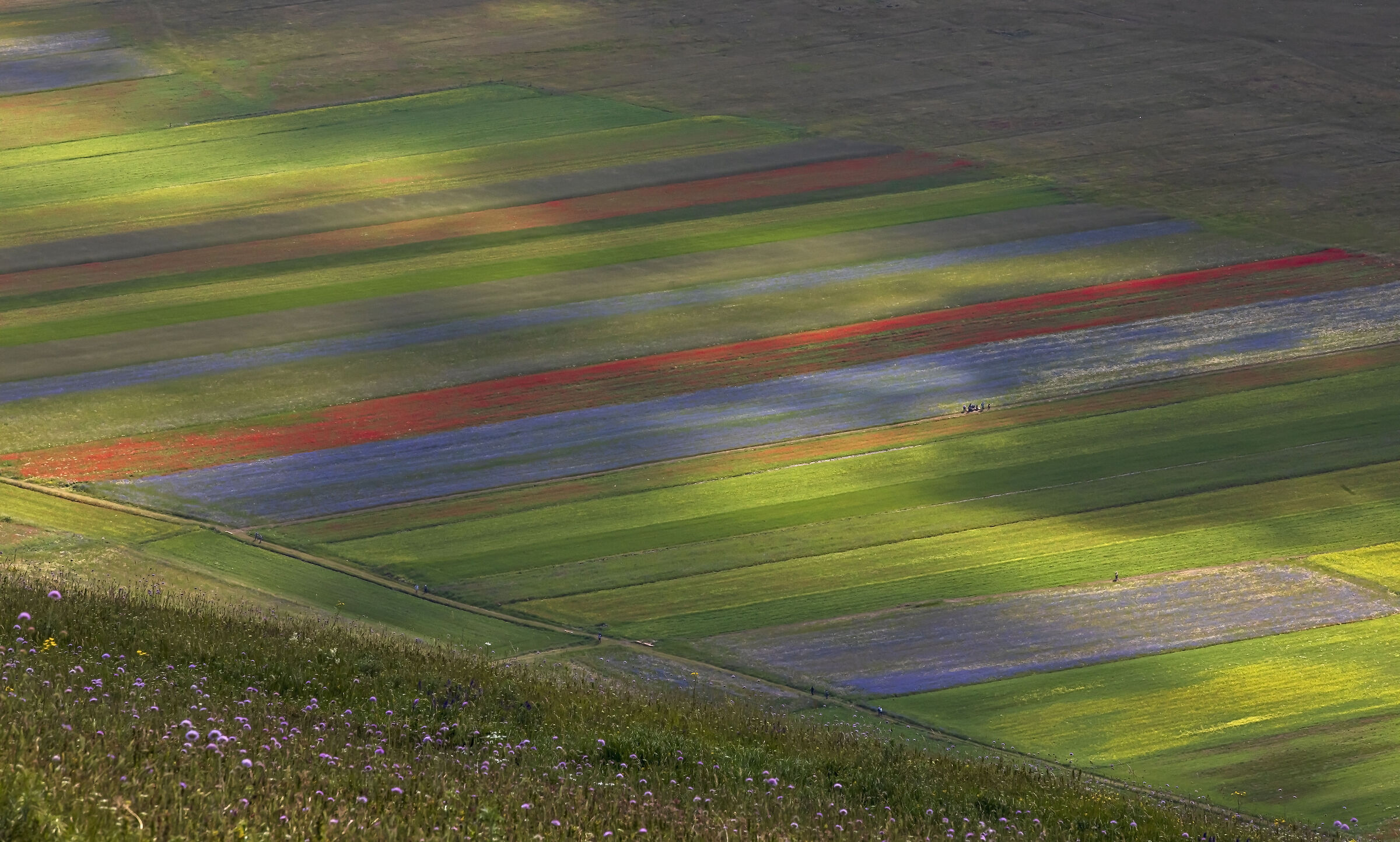 Castelluccio di Norcia