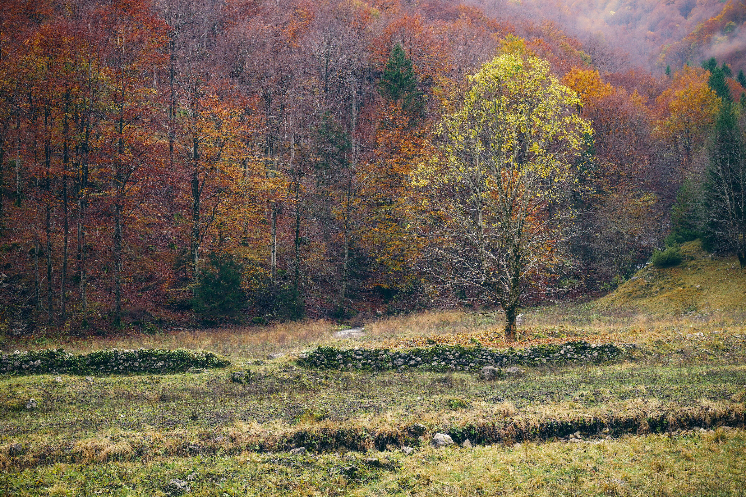 S5mkII Lut Test 2