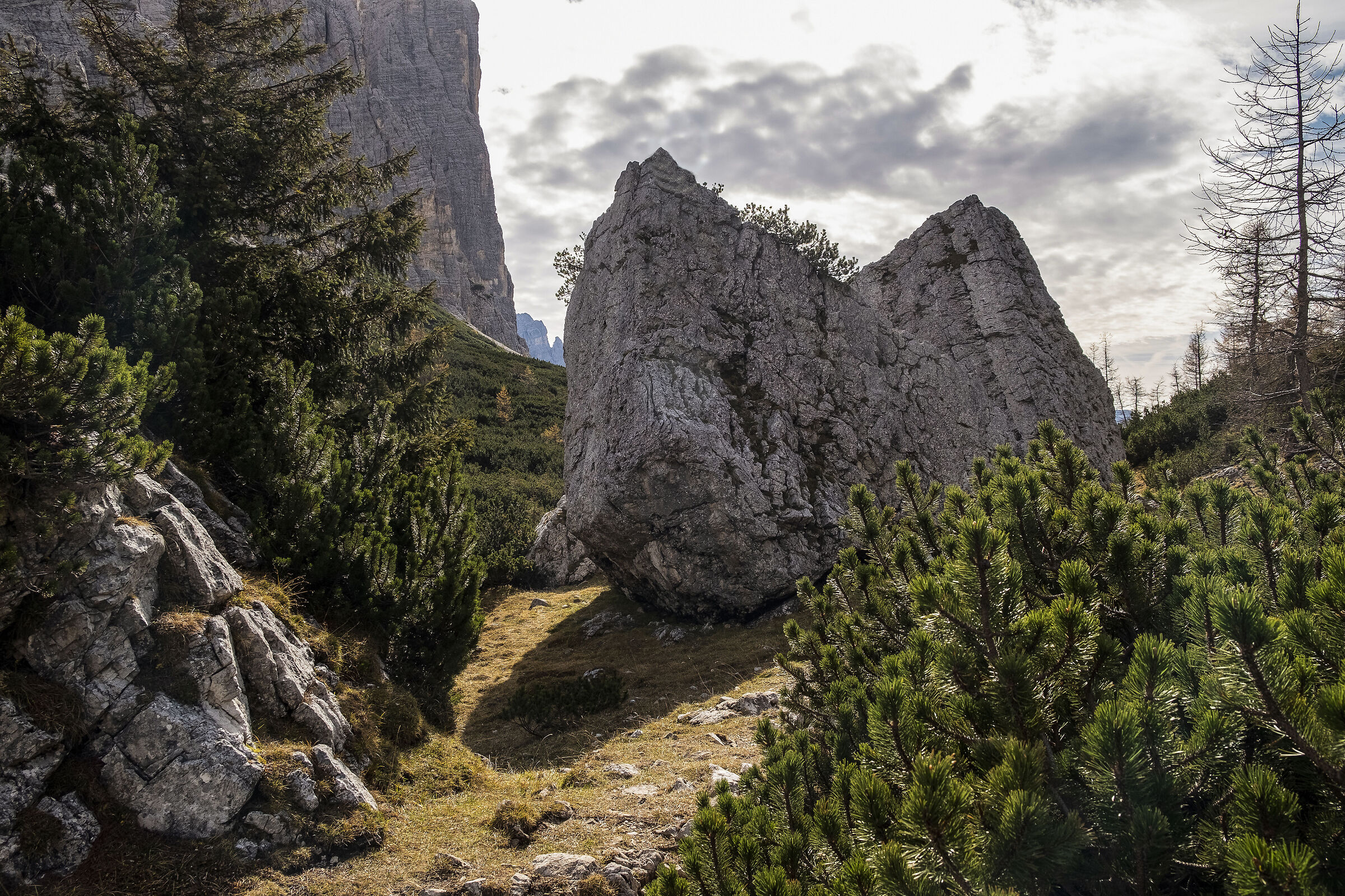 Sella di Pelsa