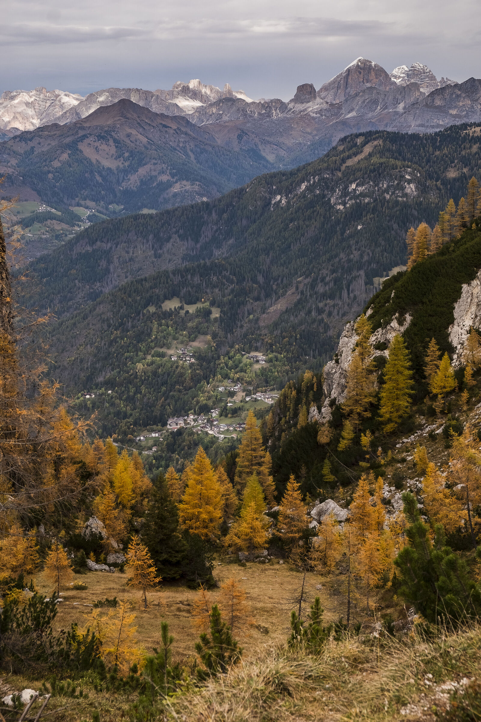 Vista sulle Tofane dal Col Real