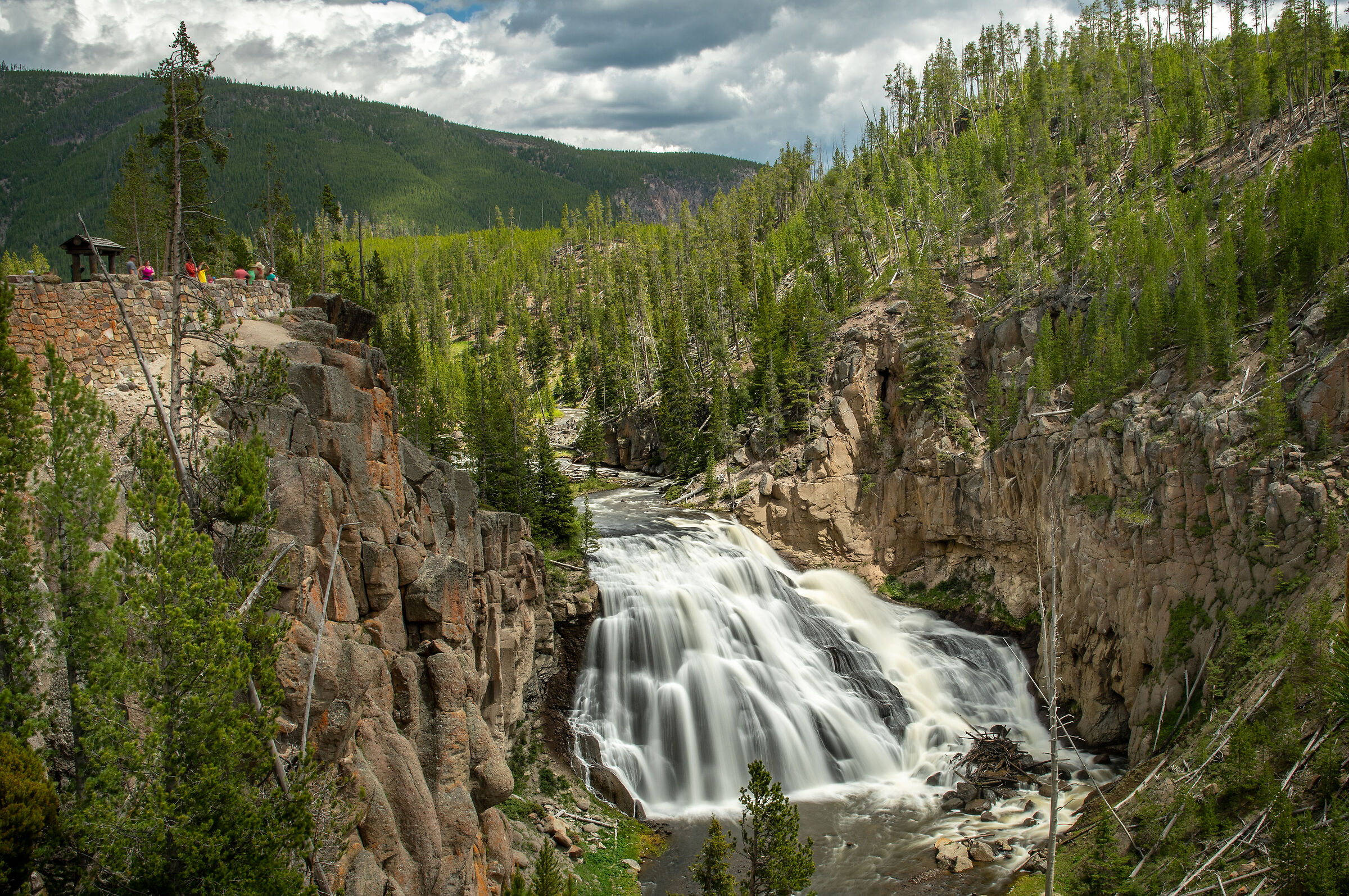 Gibbins Falls Yellowstone