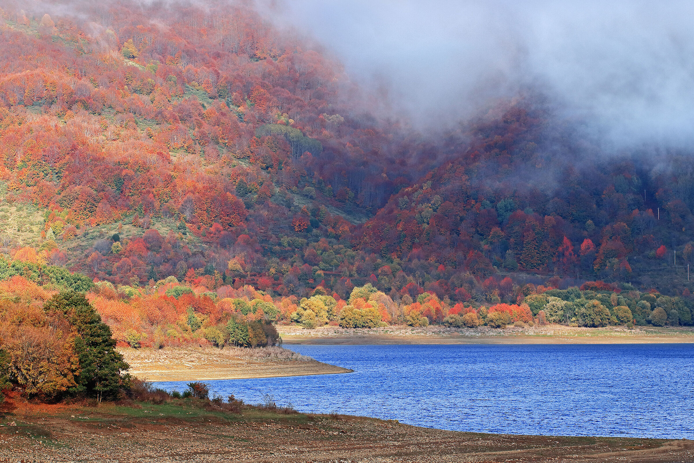Foliage 2024 Lake Campotosto