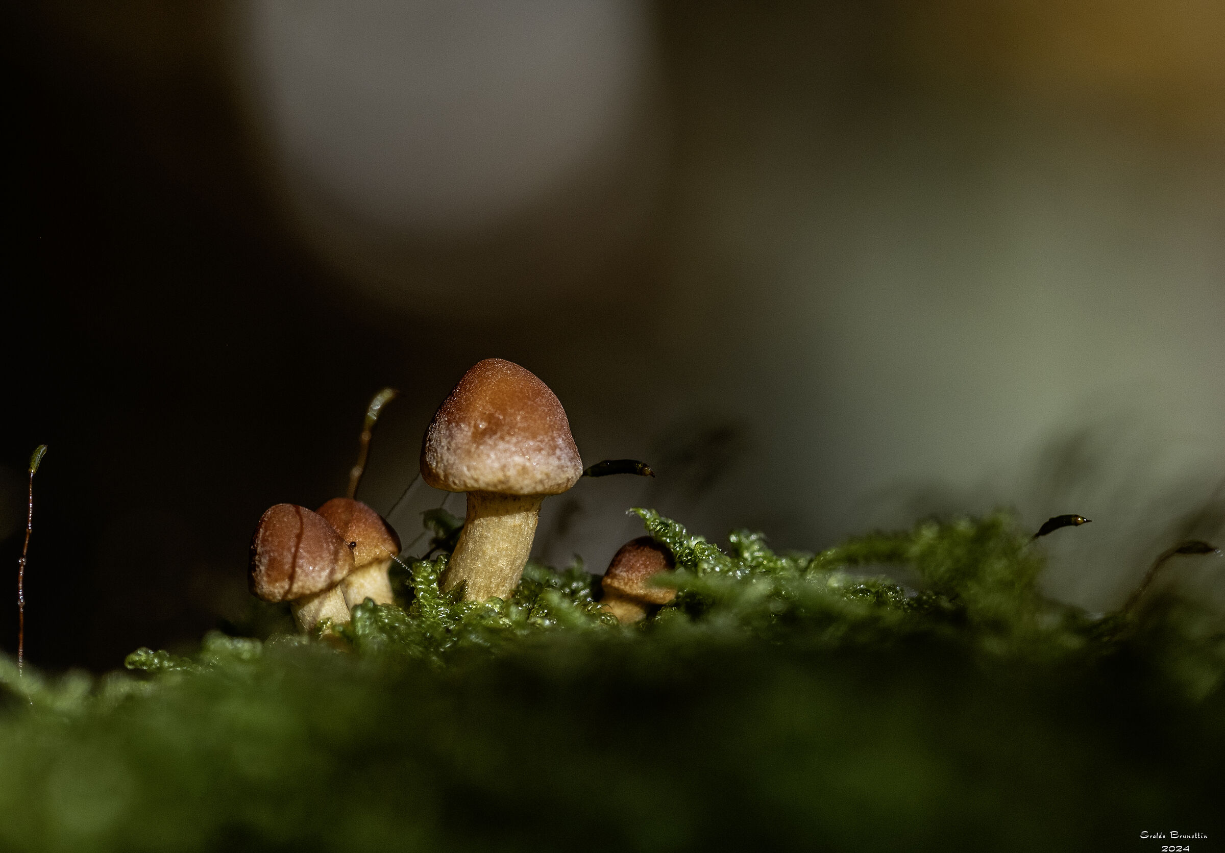Untitled Photo