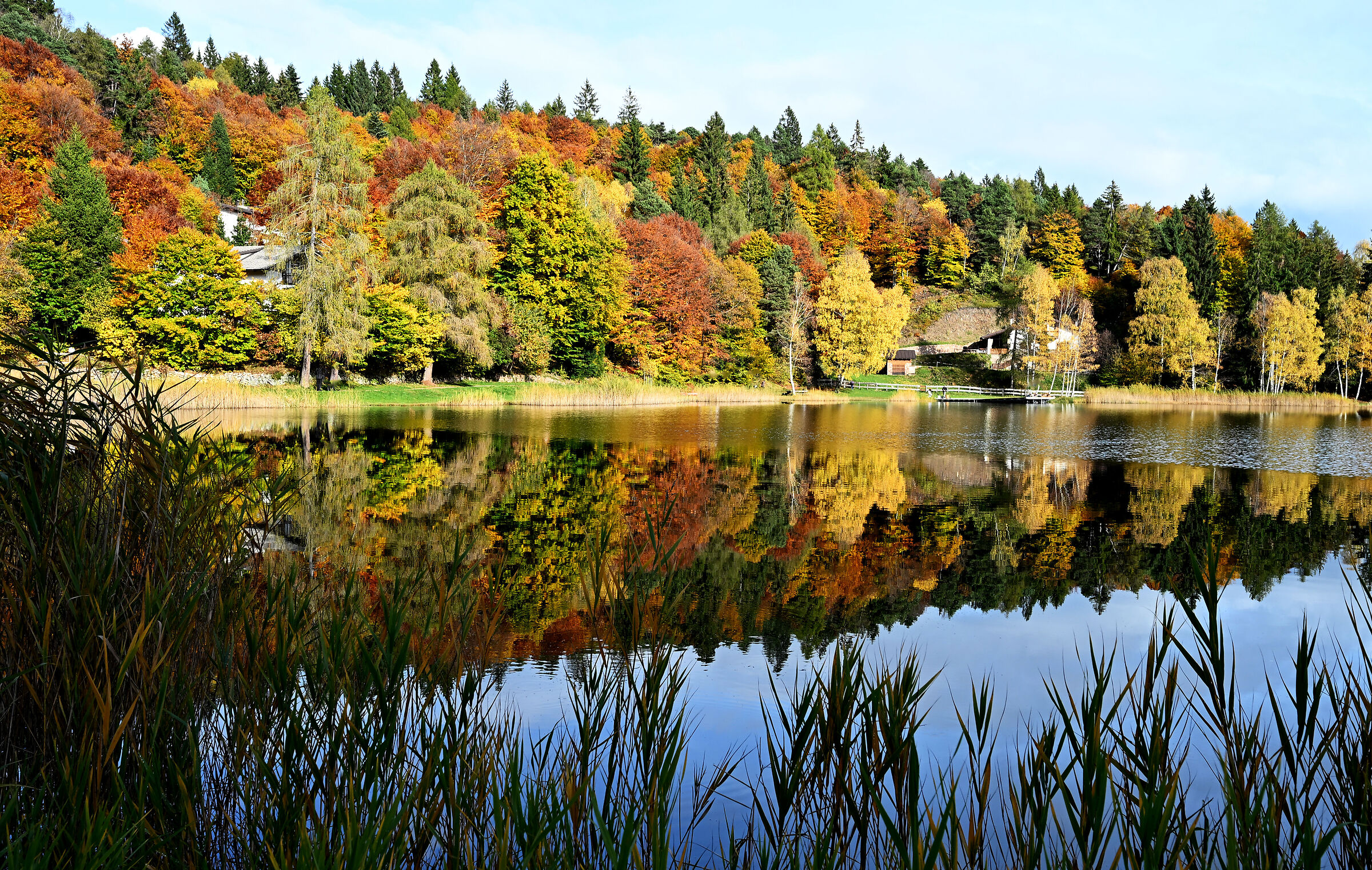 colori  d'autunno