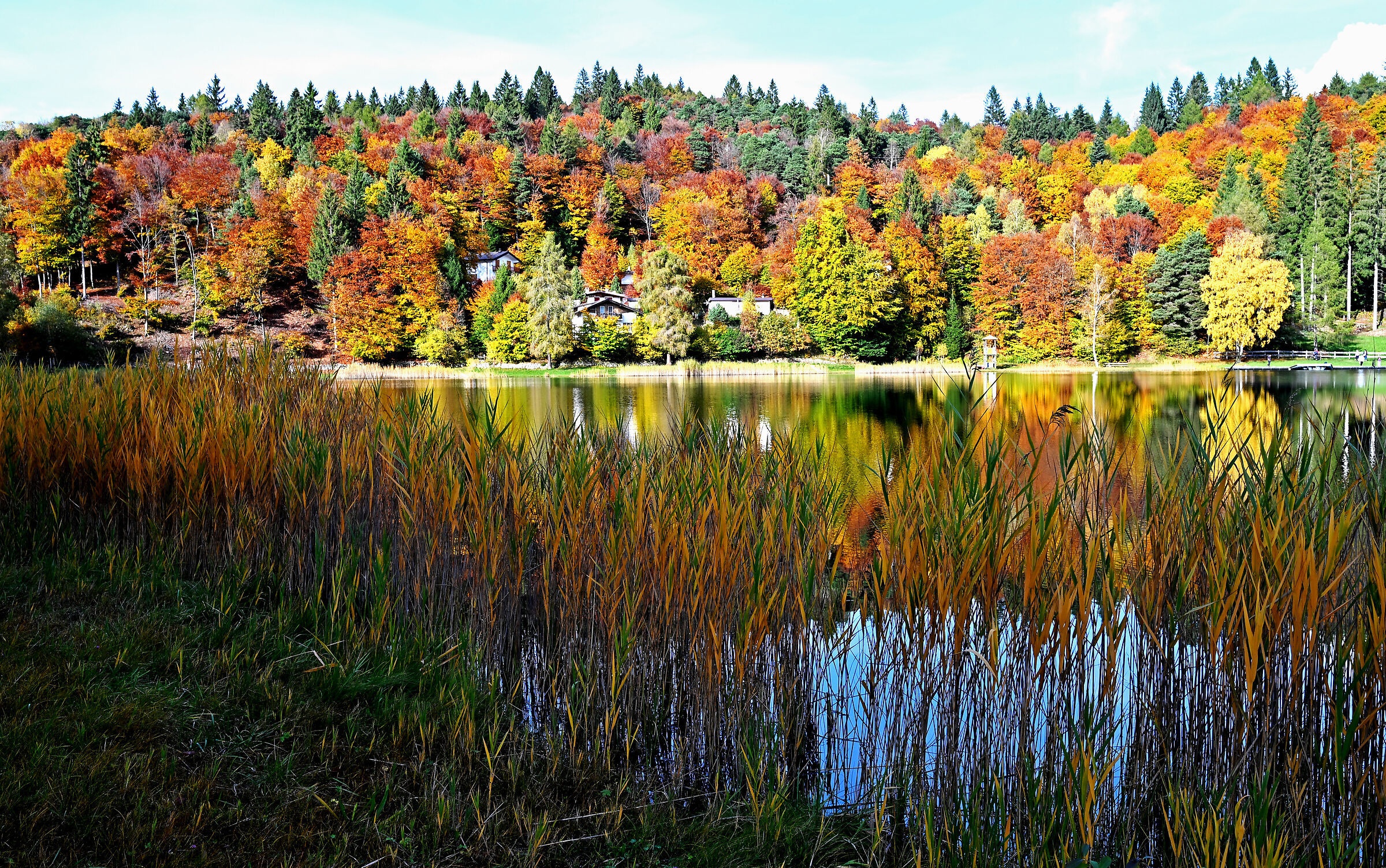 colori d'autunno
